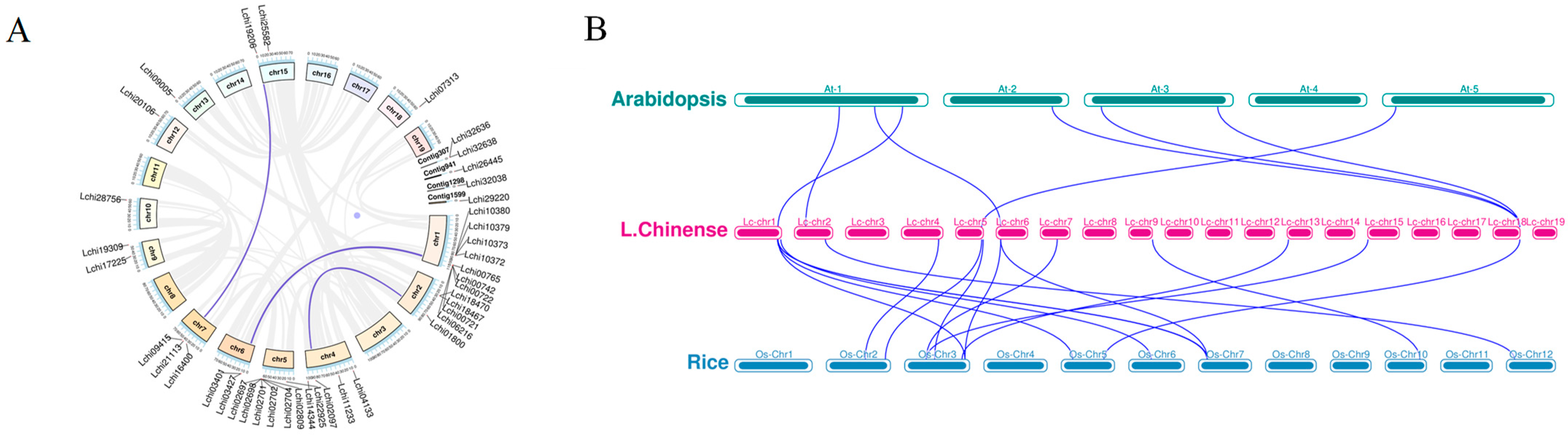 Plants 13 01674 g003