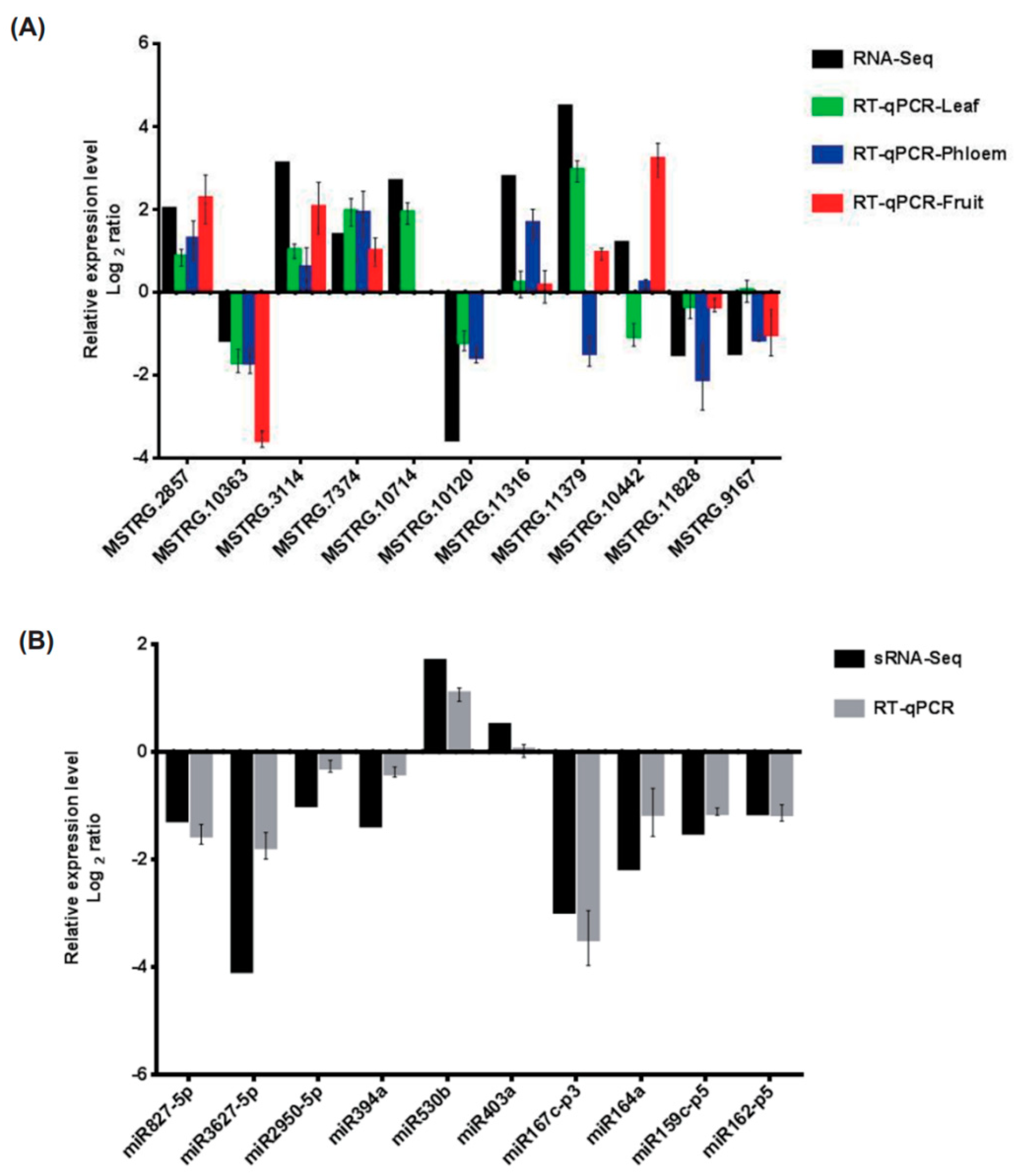 Plants 13 01676 g002 Plants 13 01676 g002