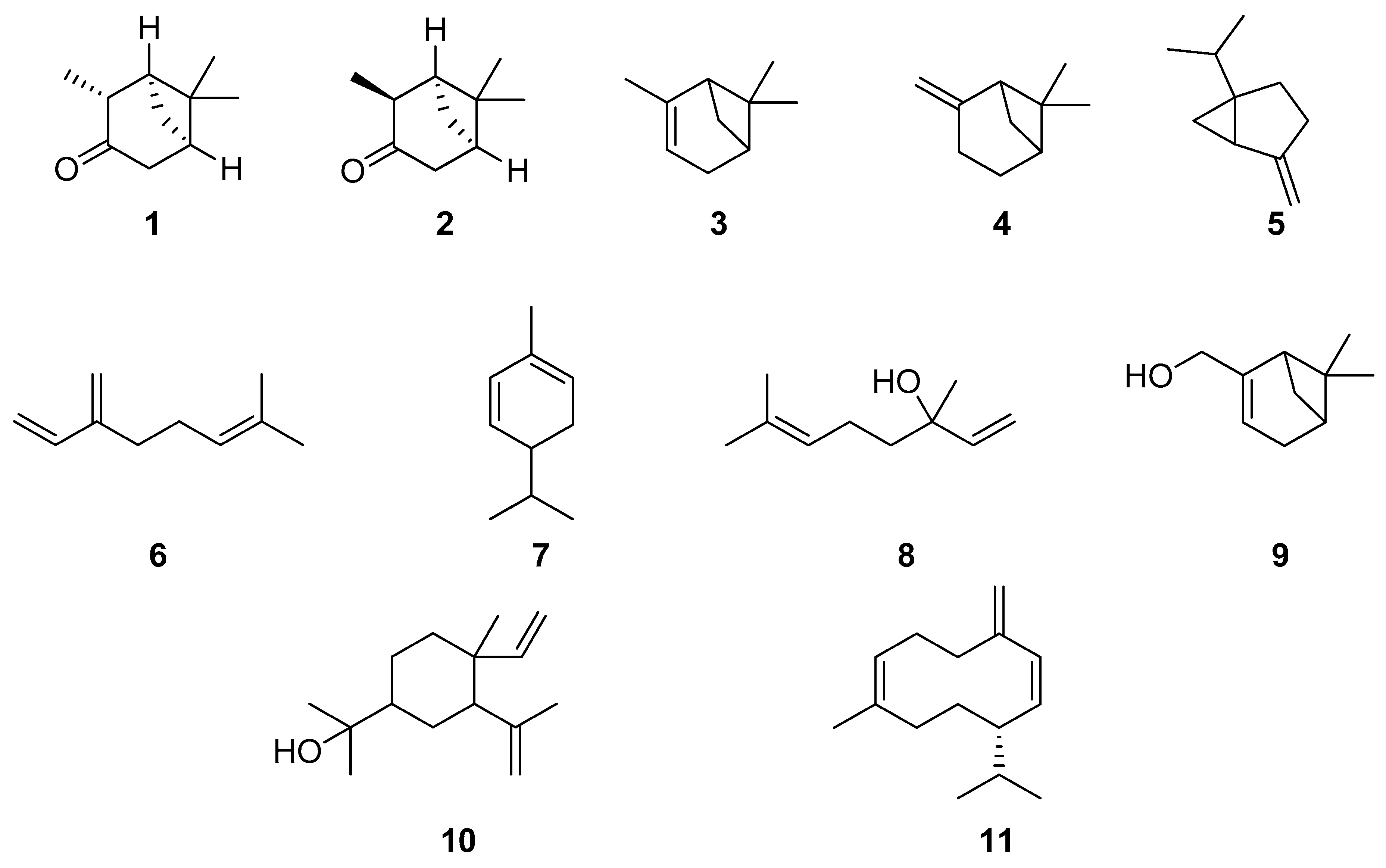 Plants 13 01683 g001 Plants 13 01683 g001