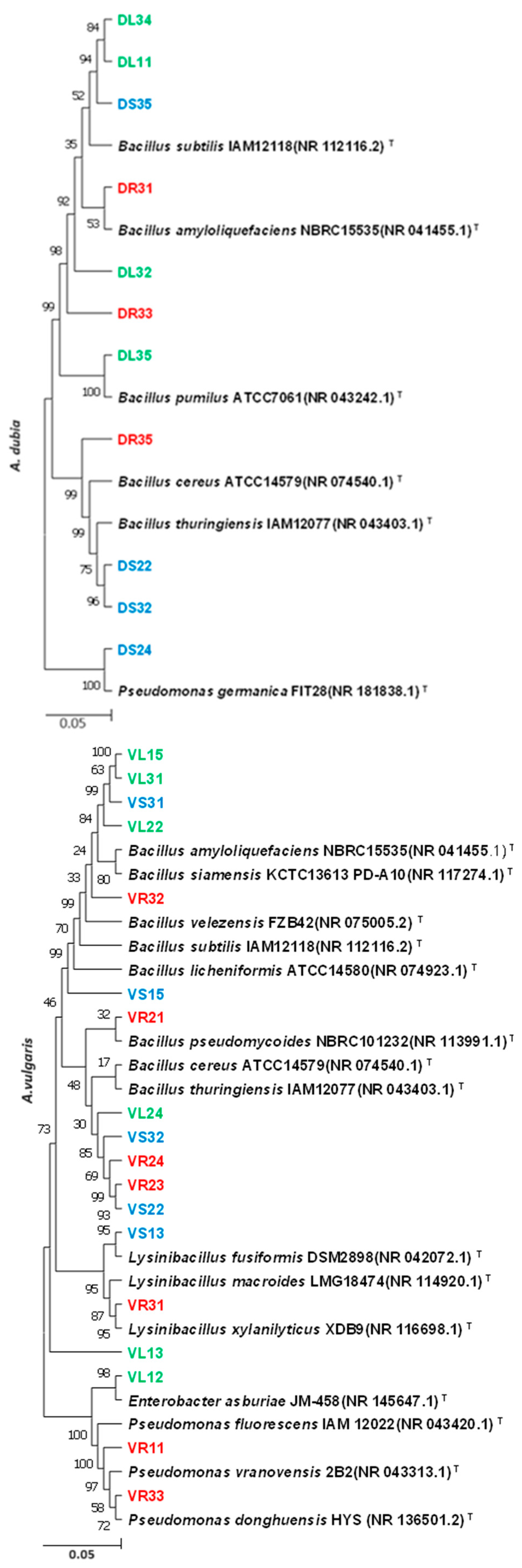 Plants 13 01684 g002b