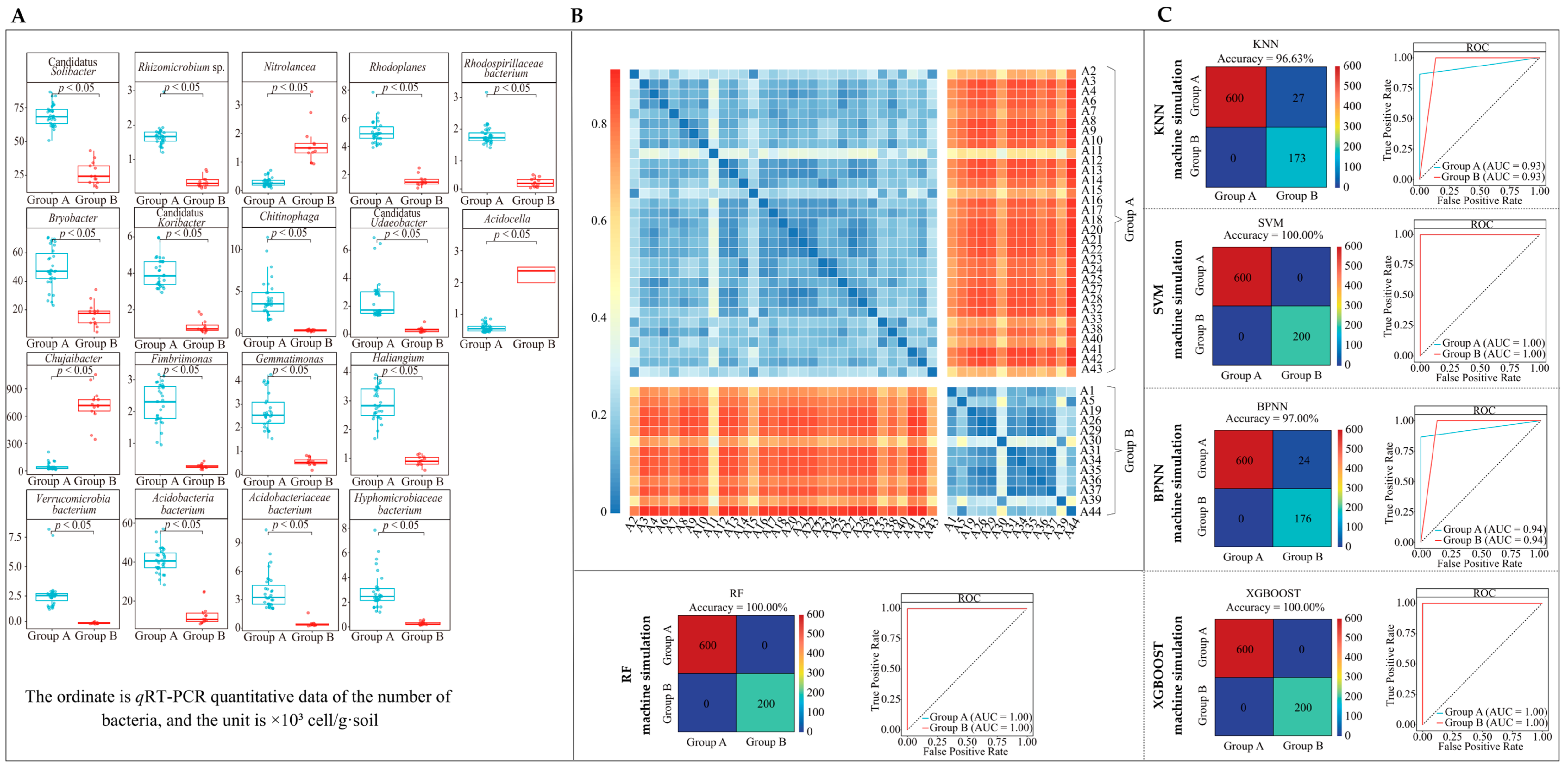 Plants 13 01686 g006