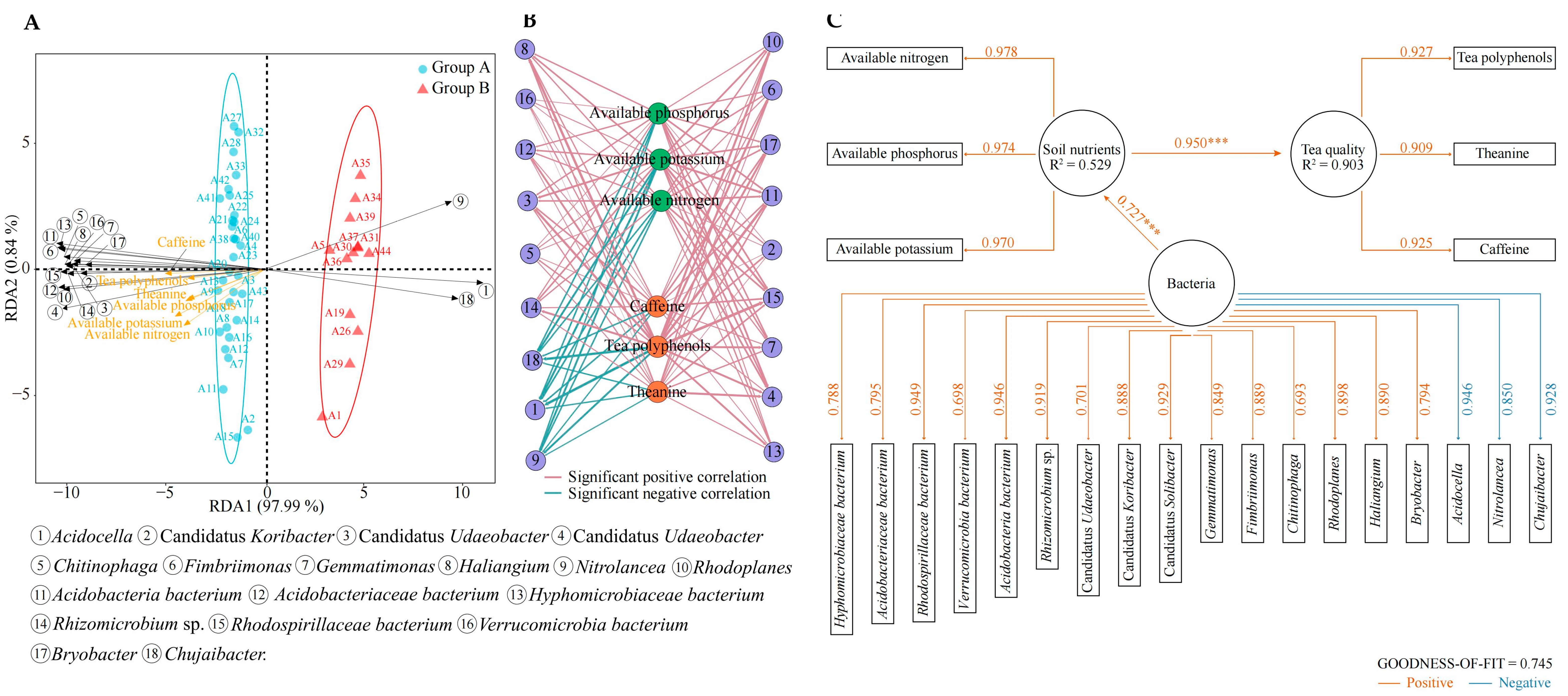 Plants 13 01686 g009