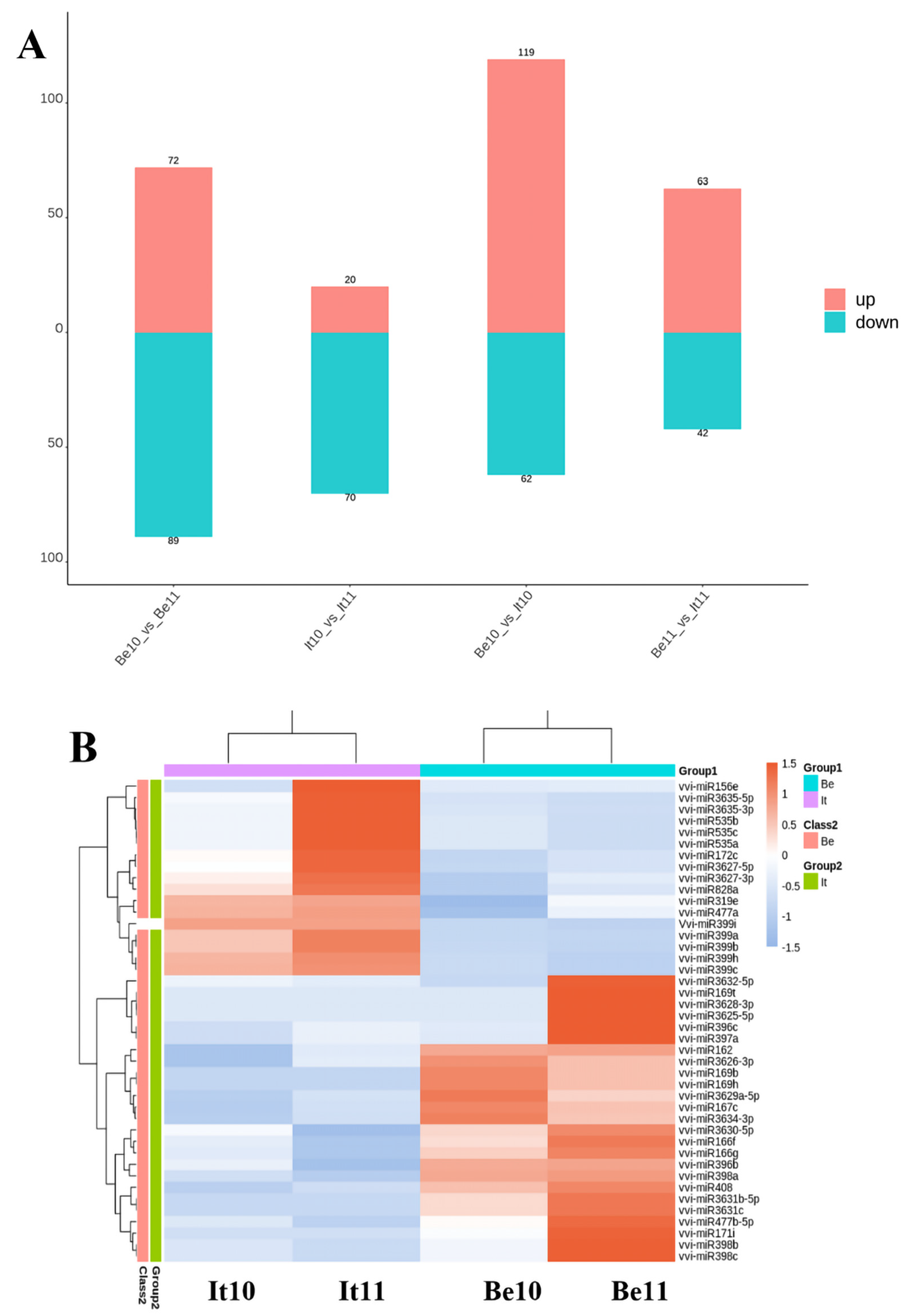 Plants 13 01688 g003