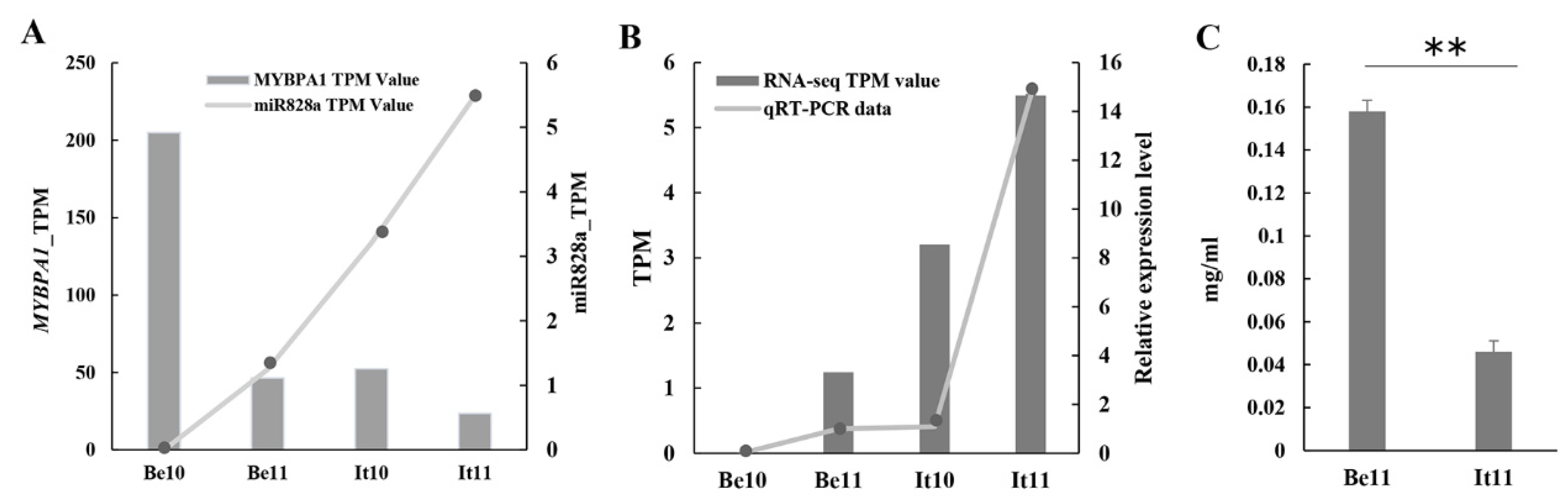 Plants 13 01688 g004