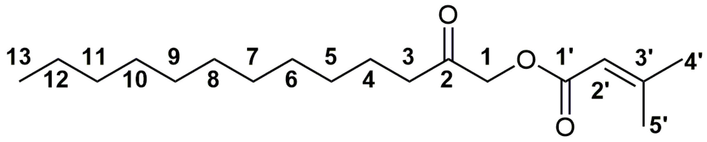 Plants 13 01690 g003