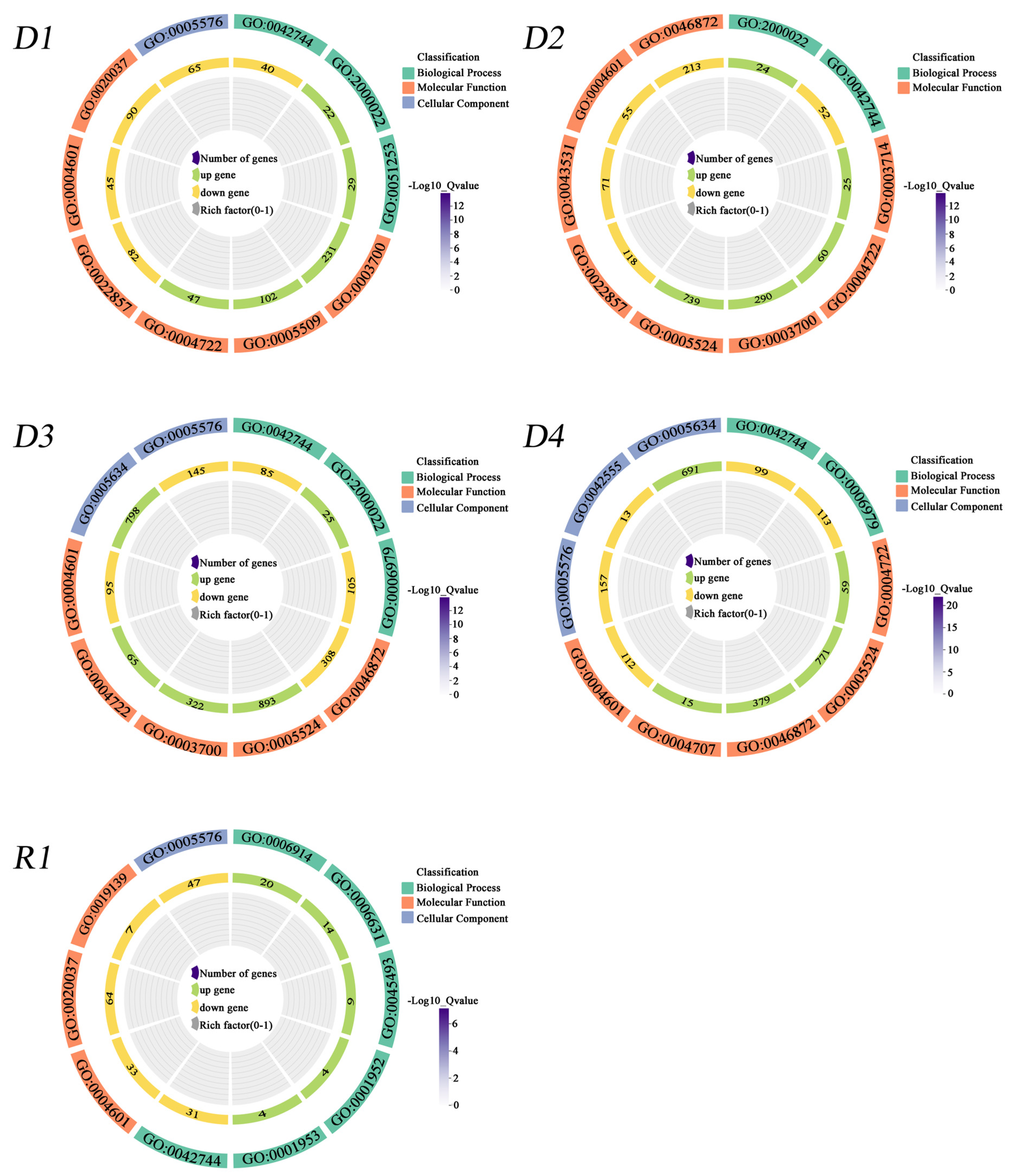 Plants 13 01693 g004 Plants 13 01693 g004