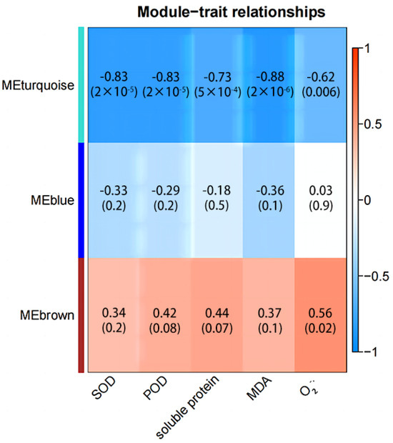 Identification of Drought-Resistant Response in Proso Millet