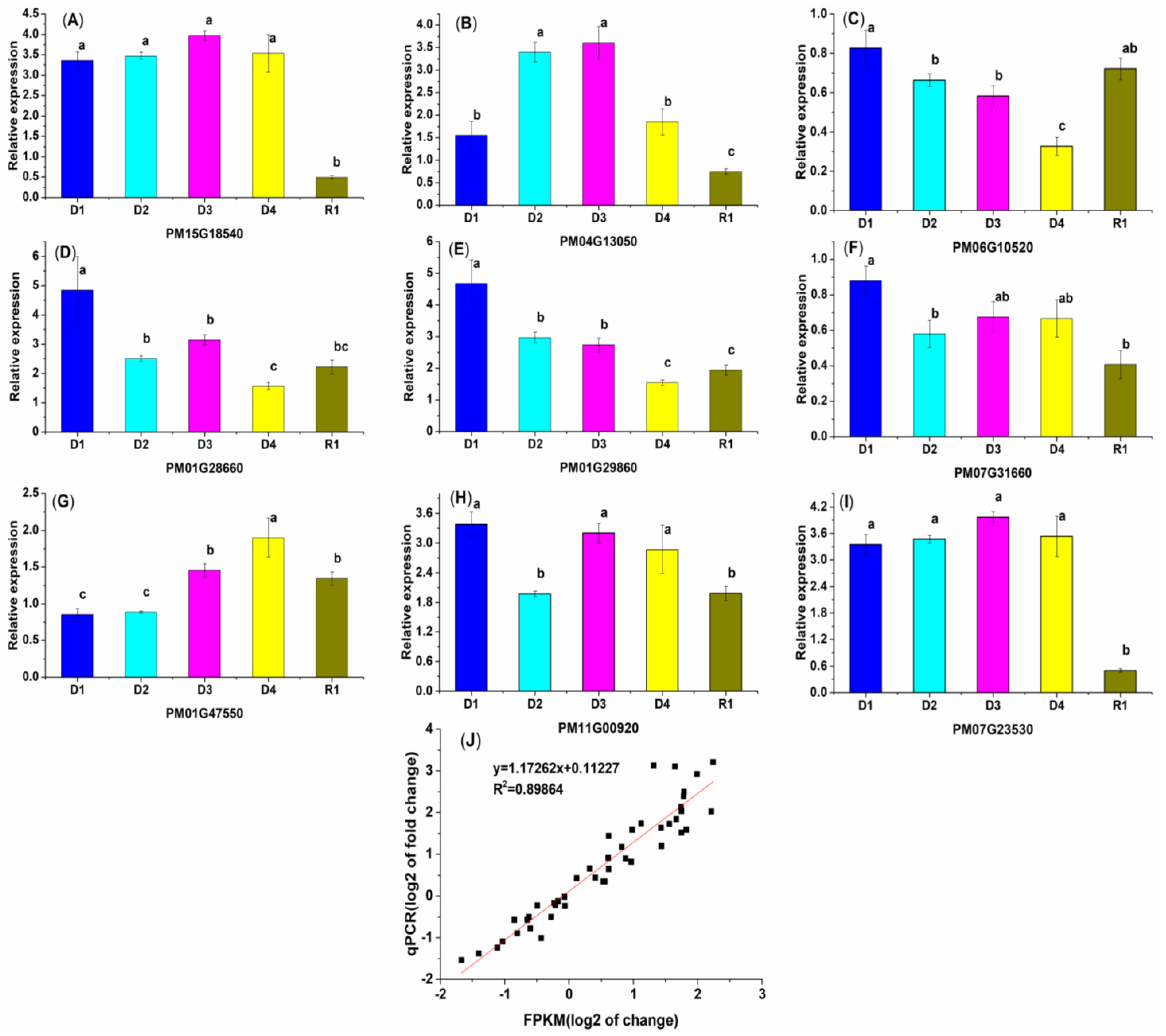 Plants 13 01693 g008 Plants 13 01693 g008