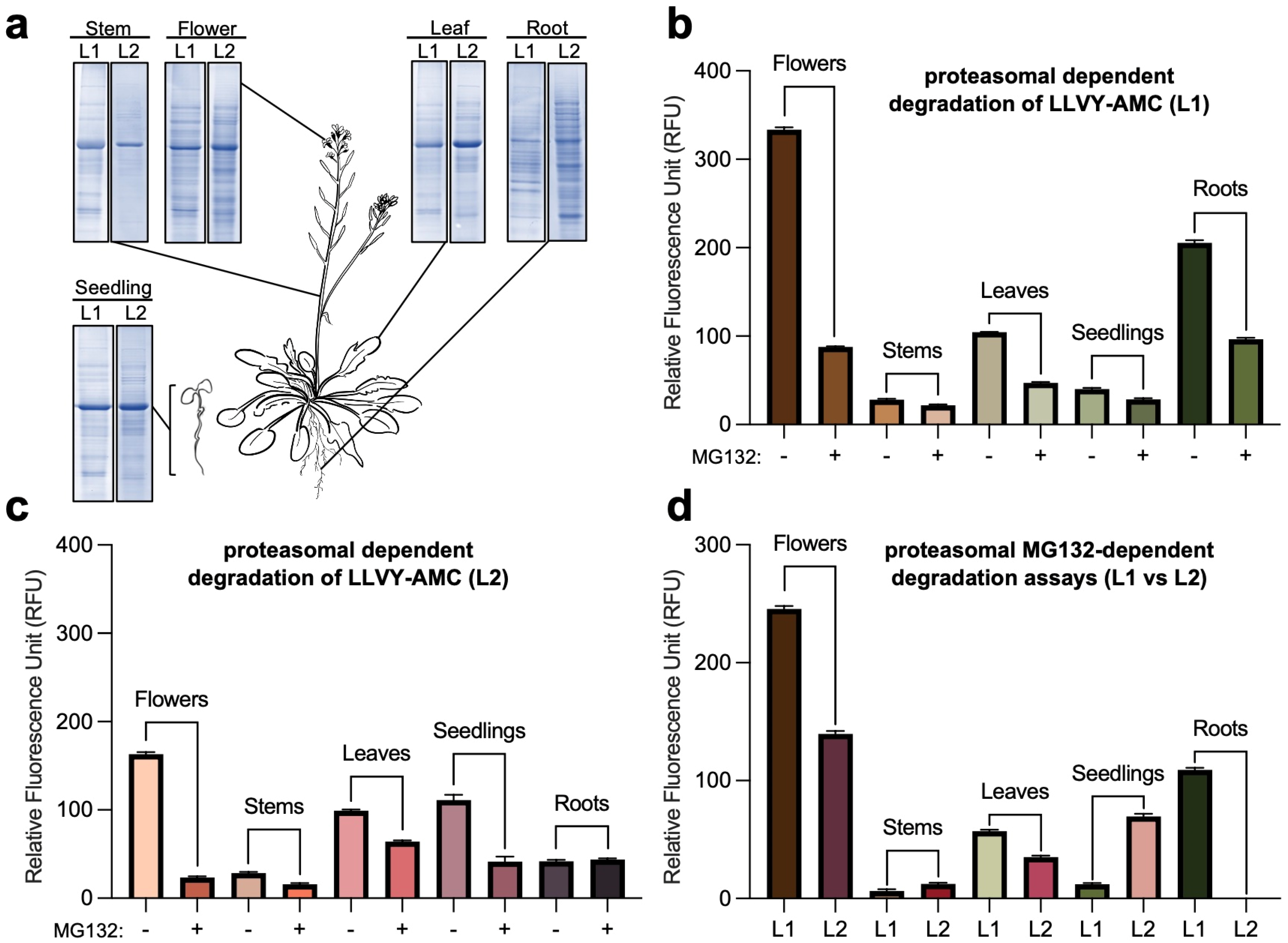 Plants 13 01696 g002