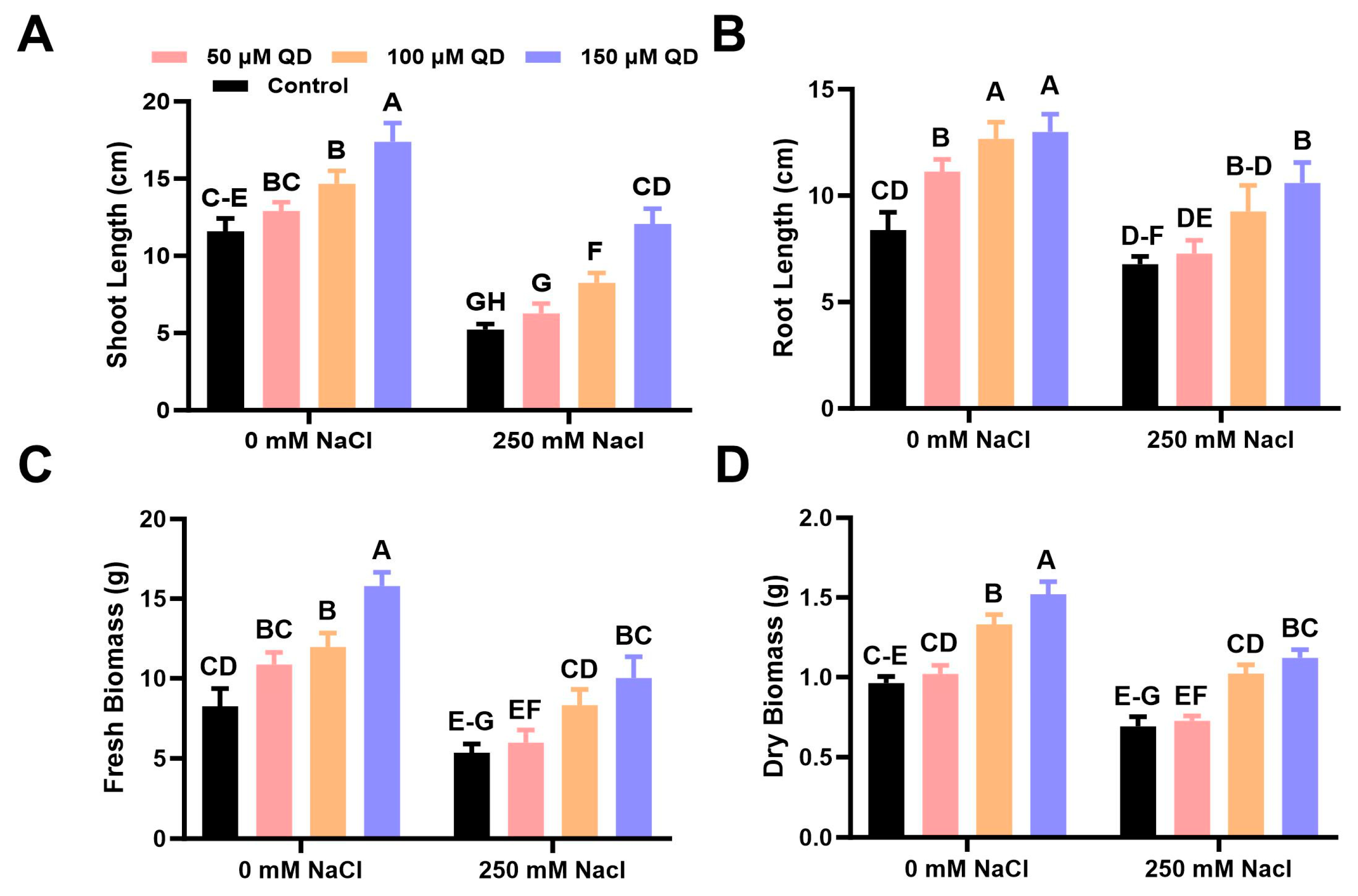 Plants 13 01698 g002