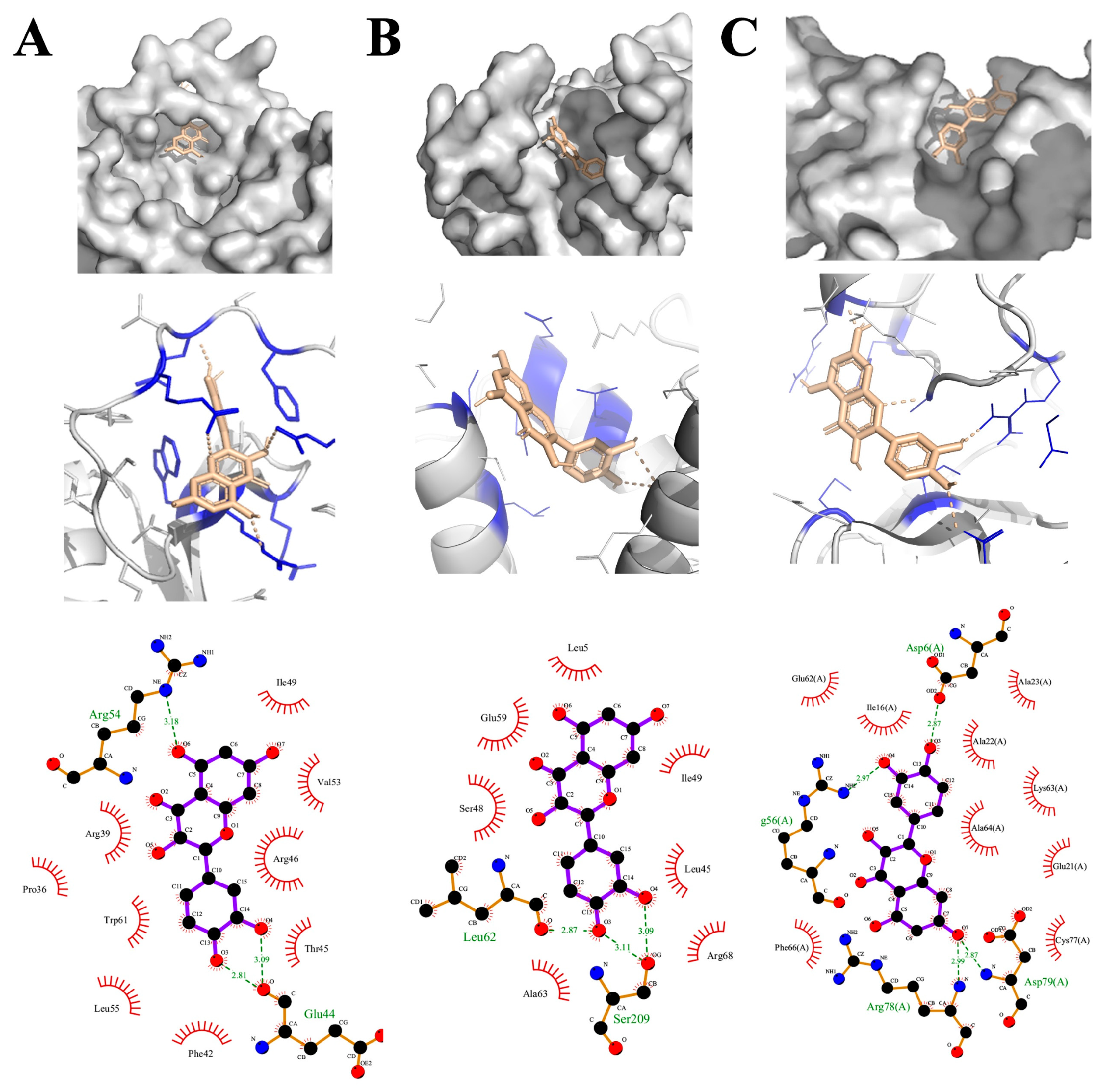 Plants 13 01698 g006