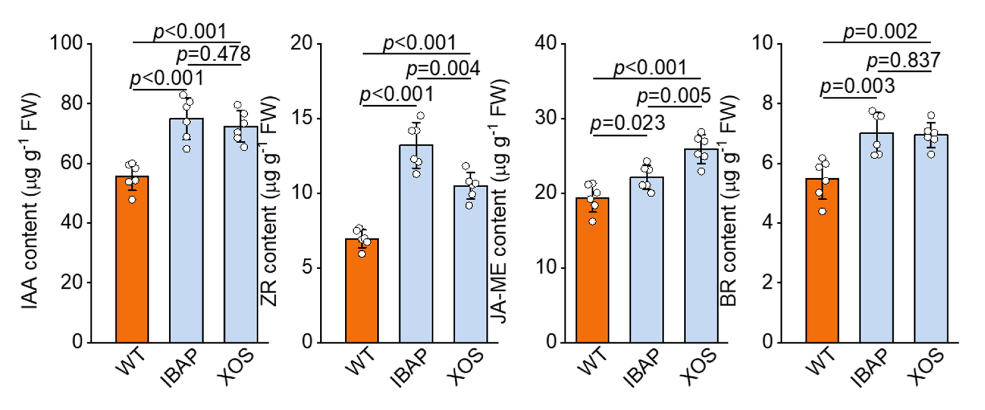 Plants 13 01699 g004