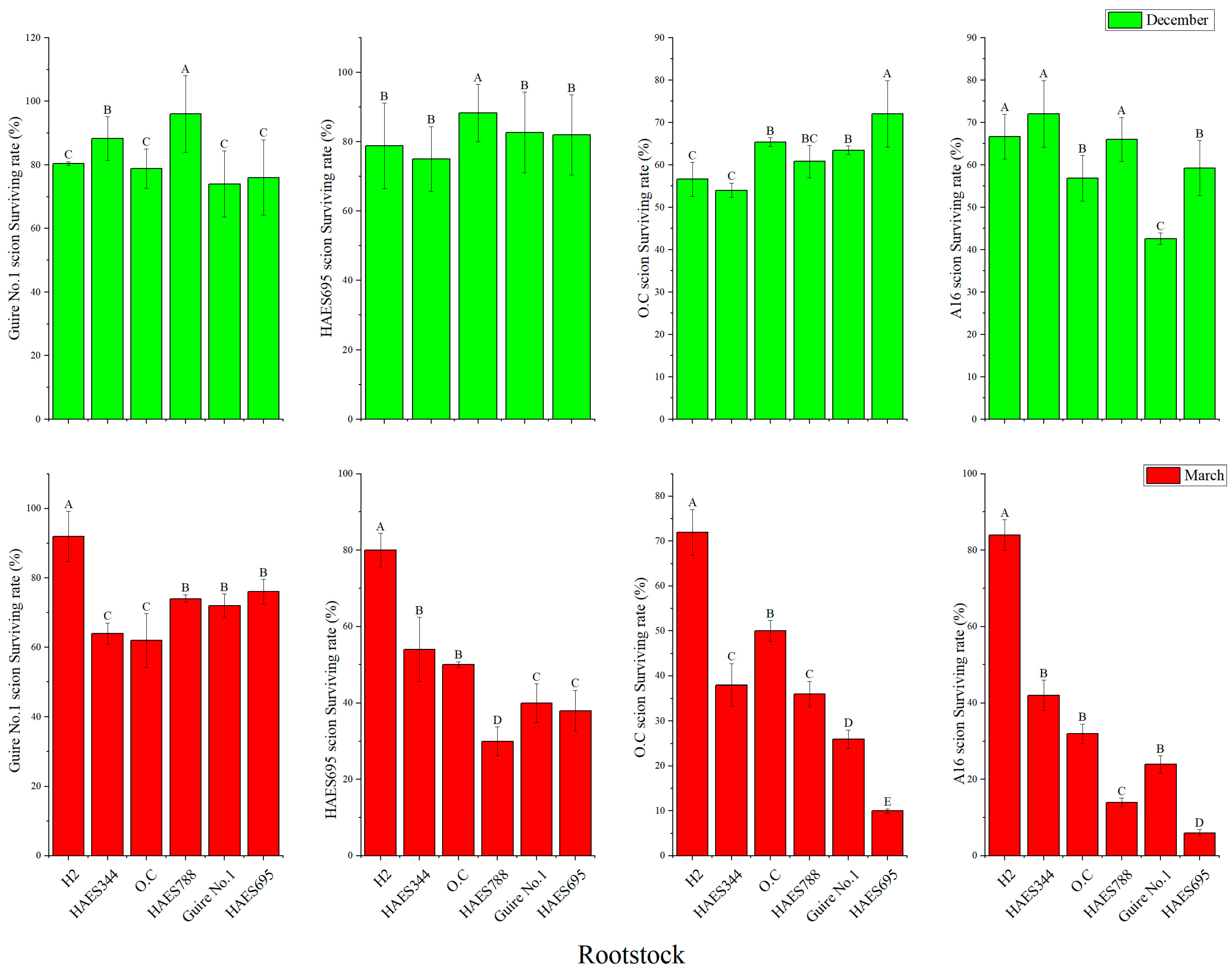 Plants 13 01700 g001