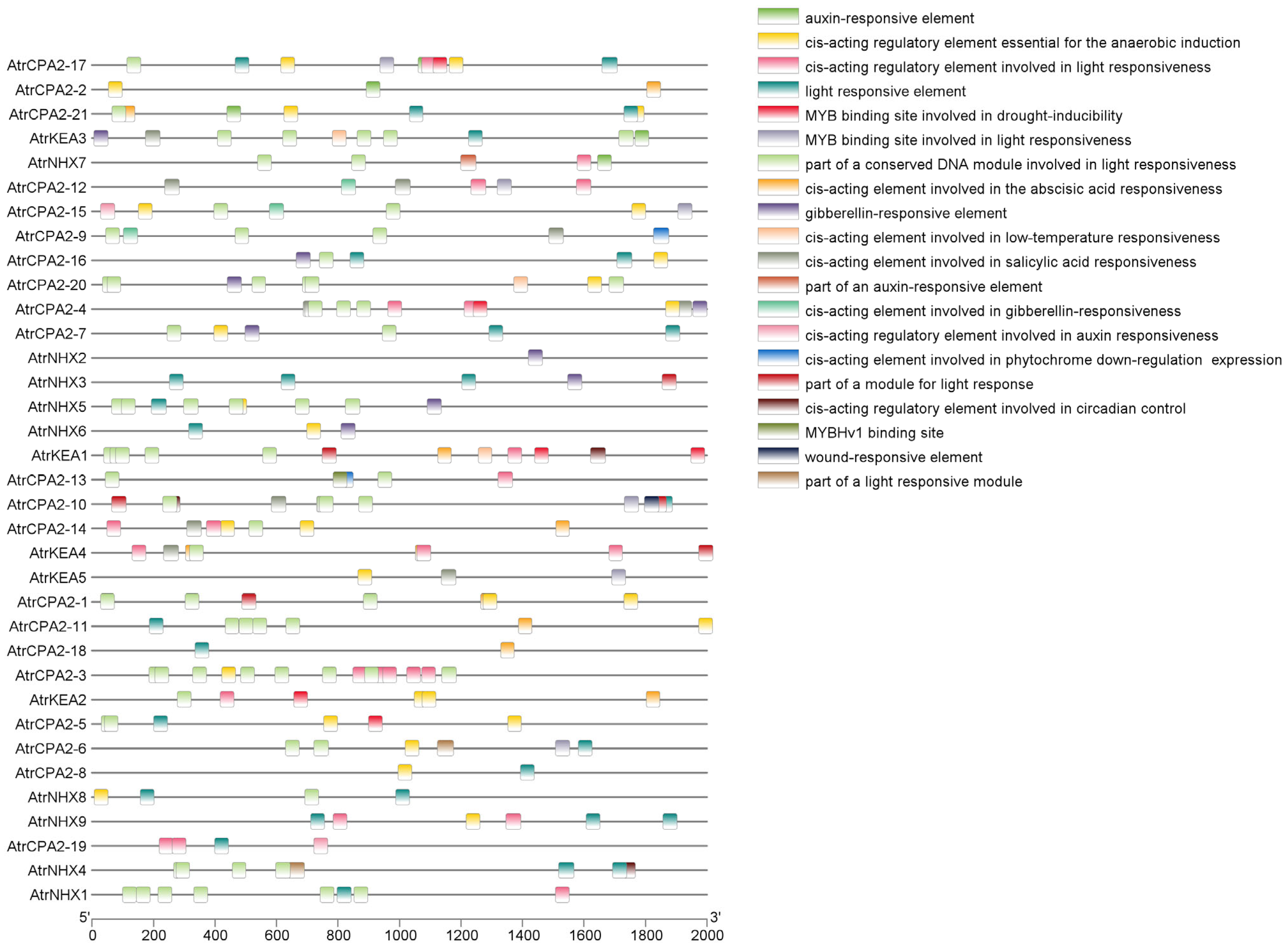 Plants 13 01701 g002