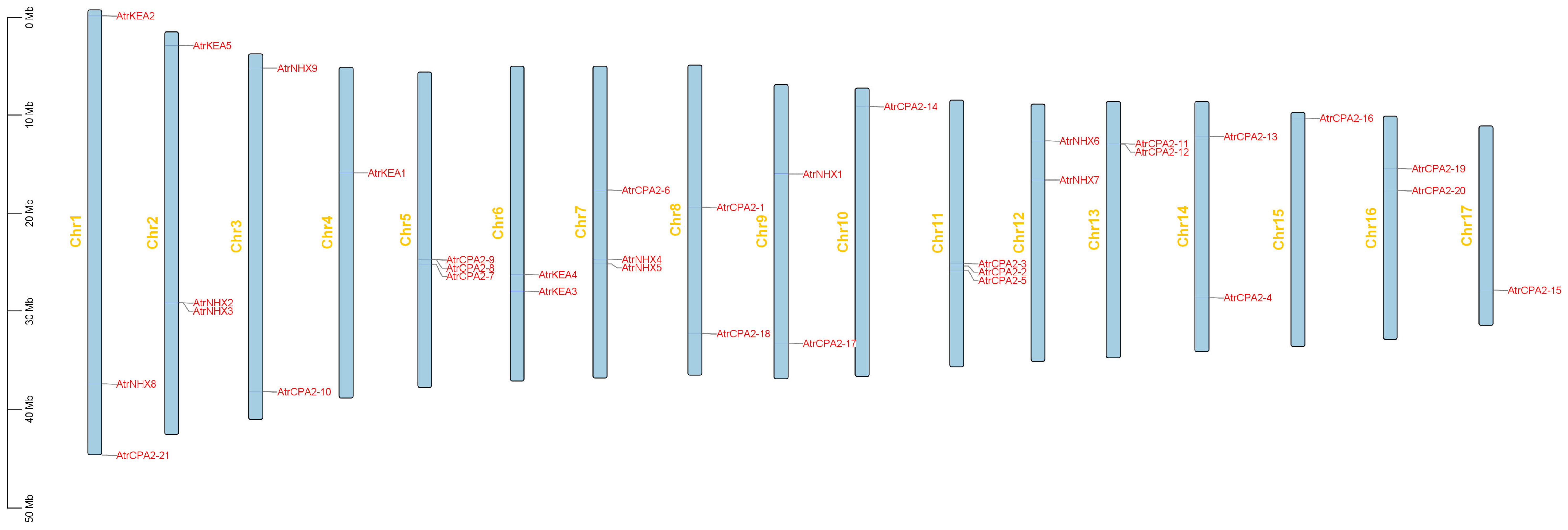 Plants 13 01701 g003