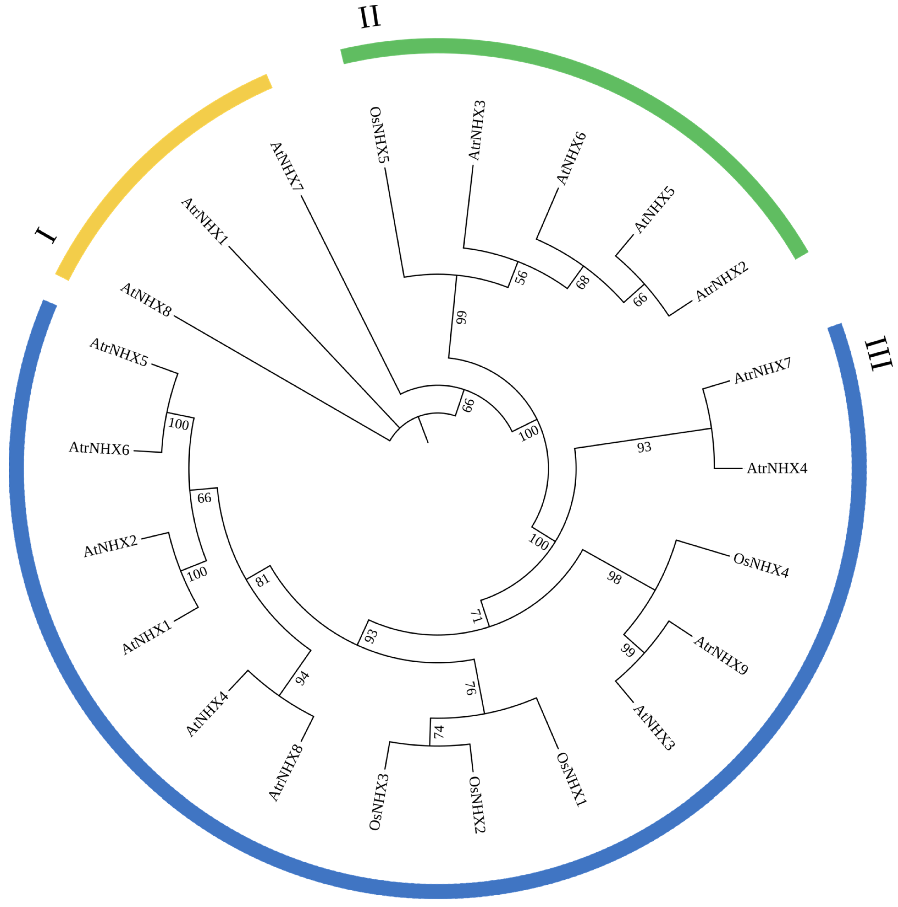 Plants 13 01701 g006