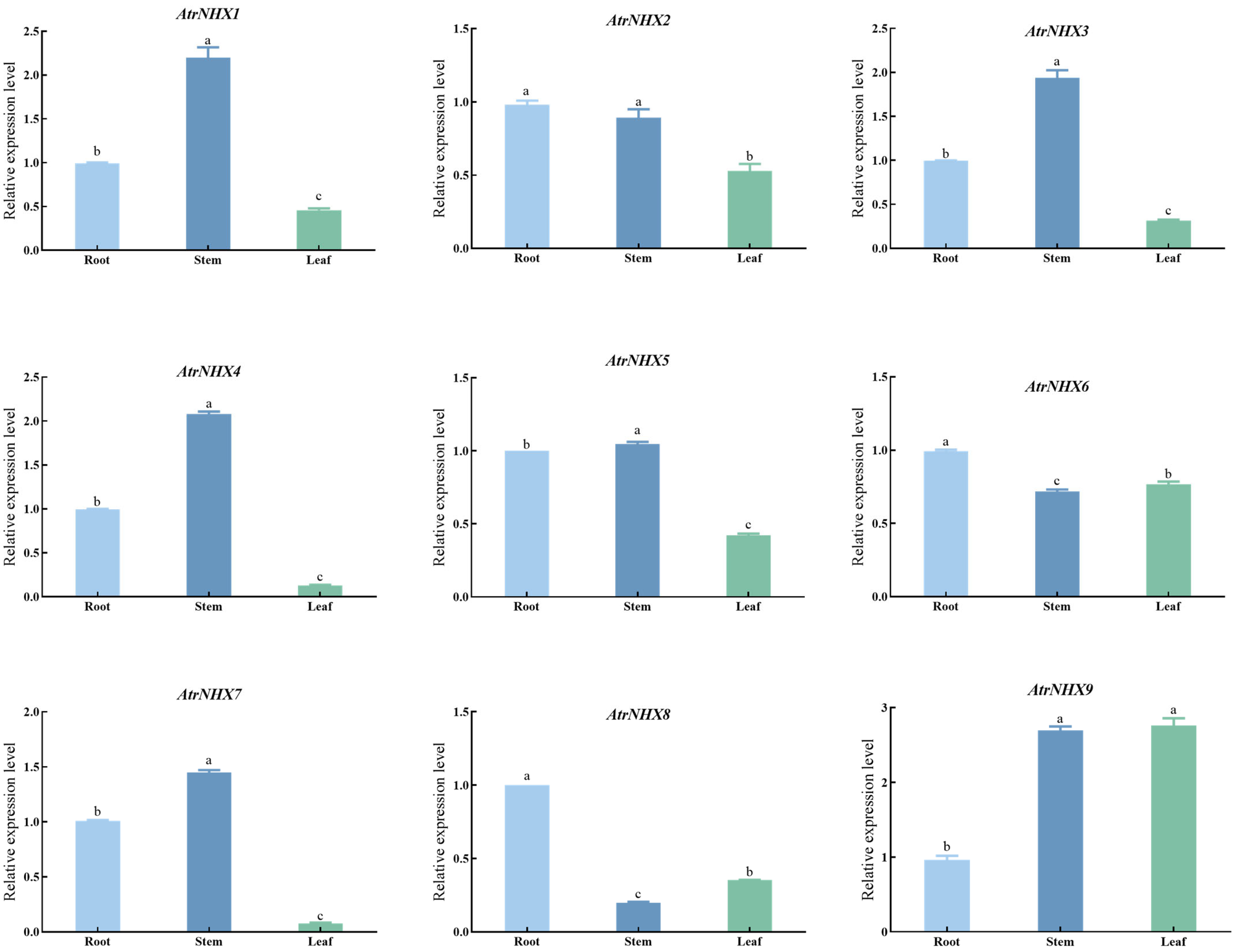 Plants 13 01701 g008