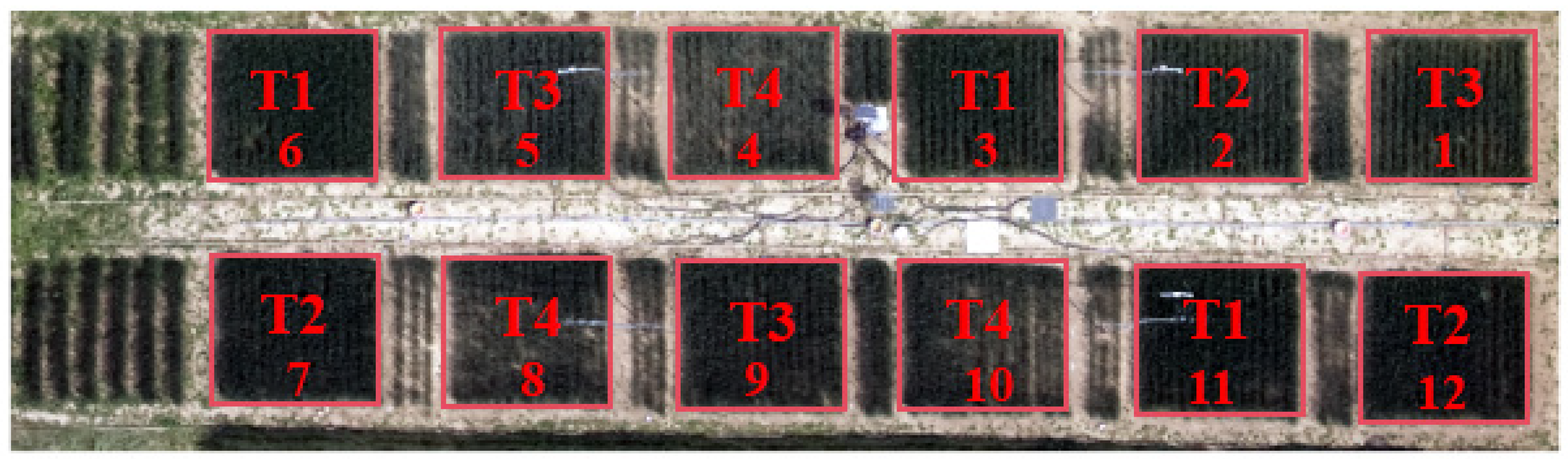 Plants 13 01702 g025