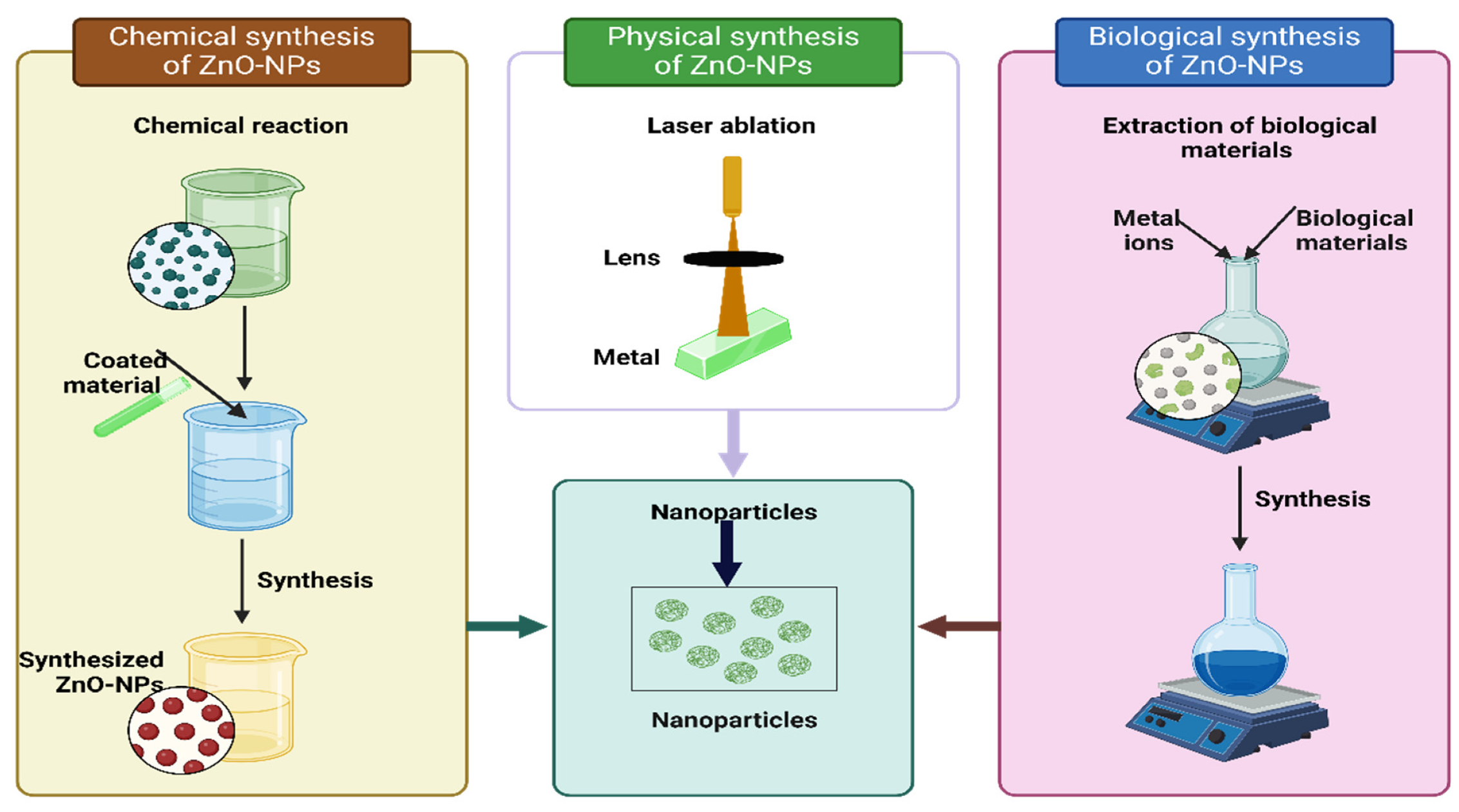 Plants 13 01706 g002