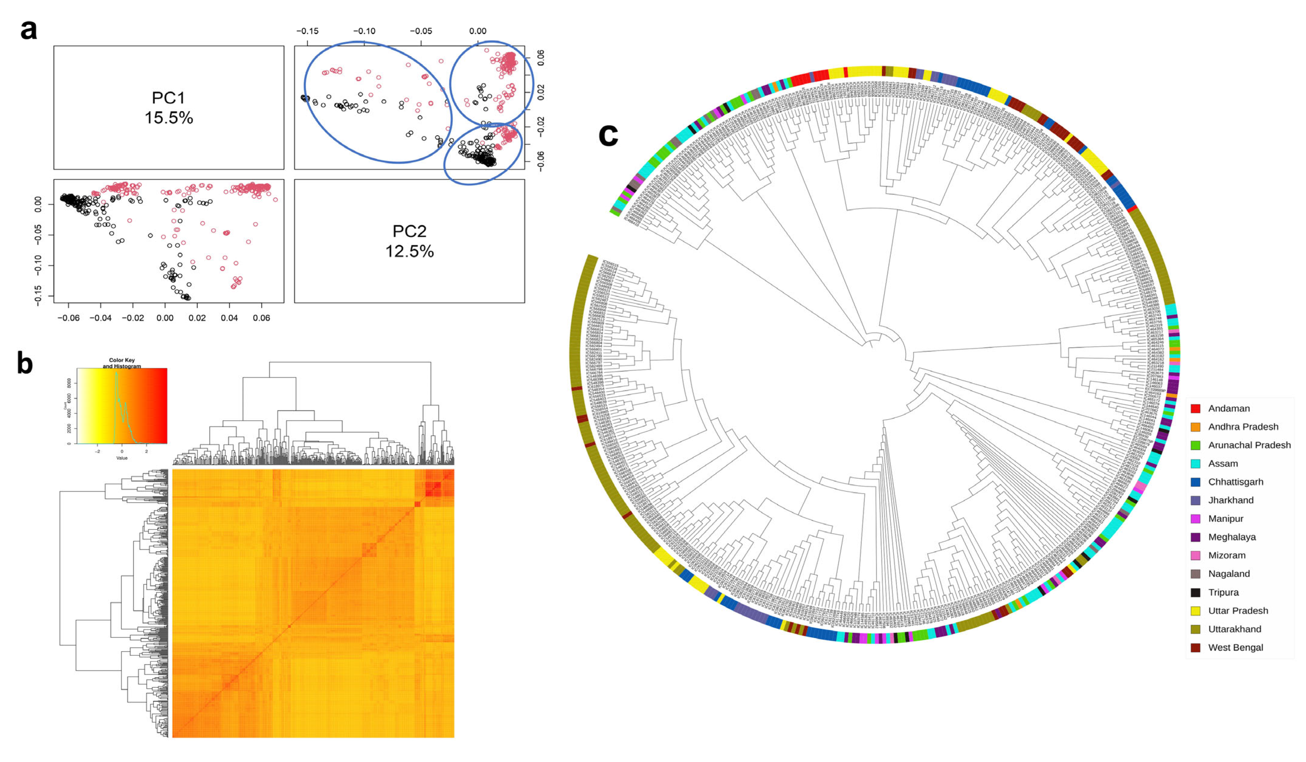 Plants 13 01707 g003