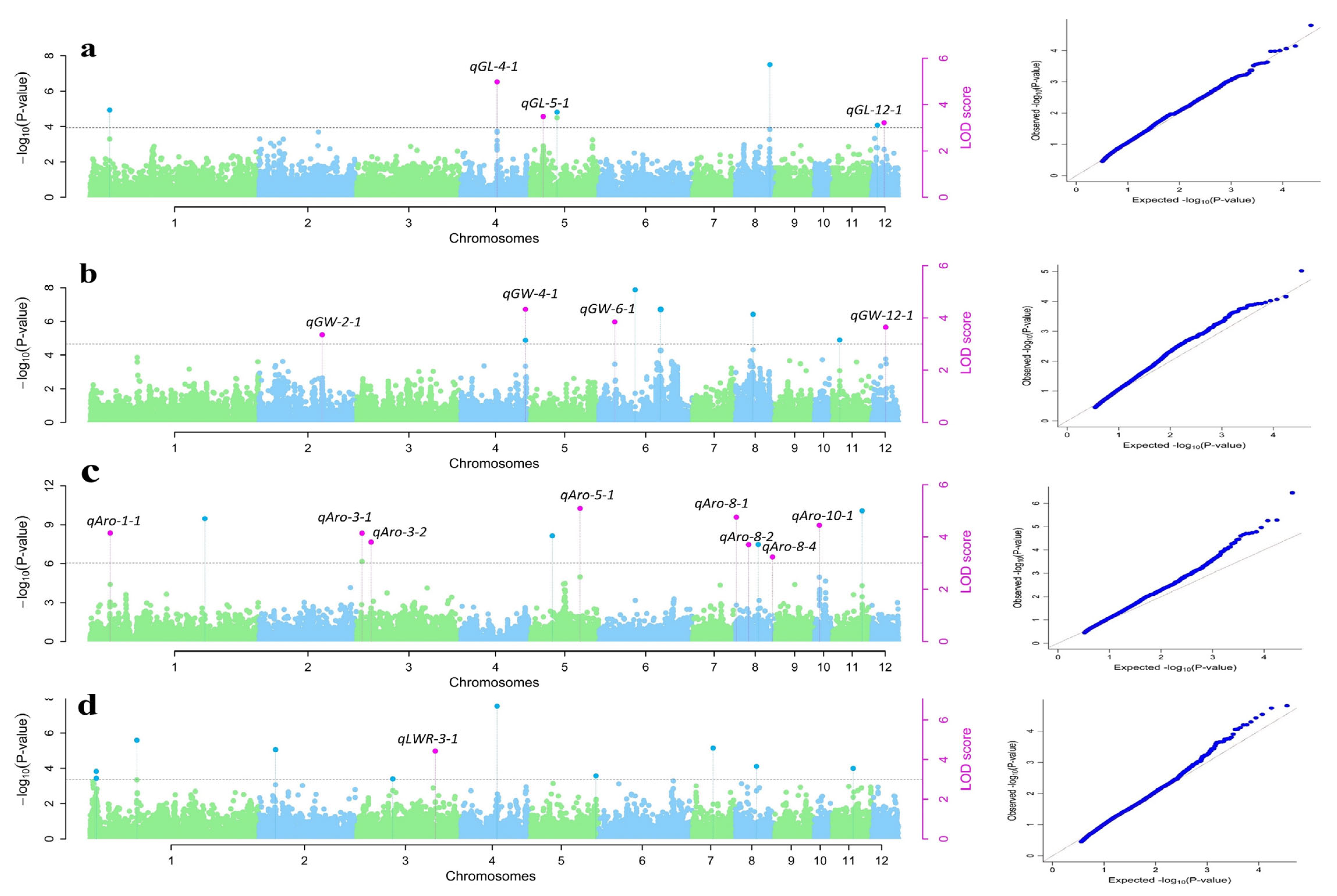 Plants 13 01707 g004