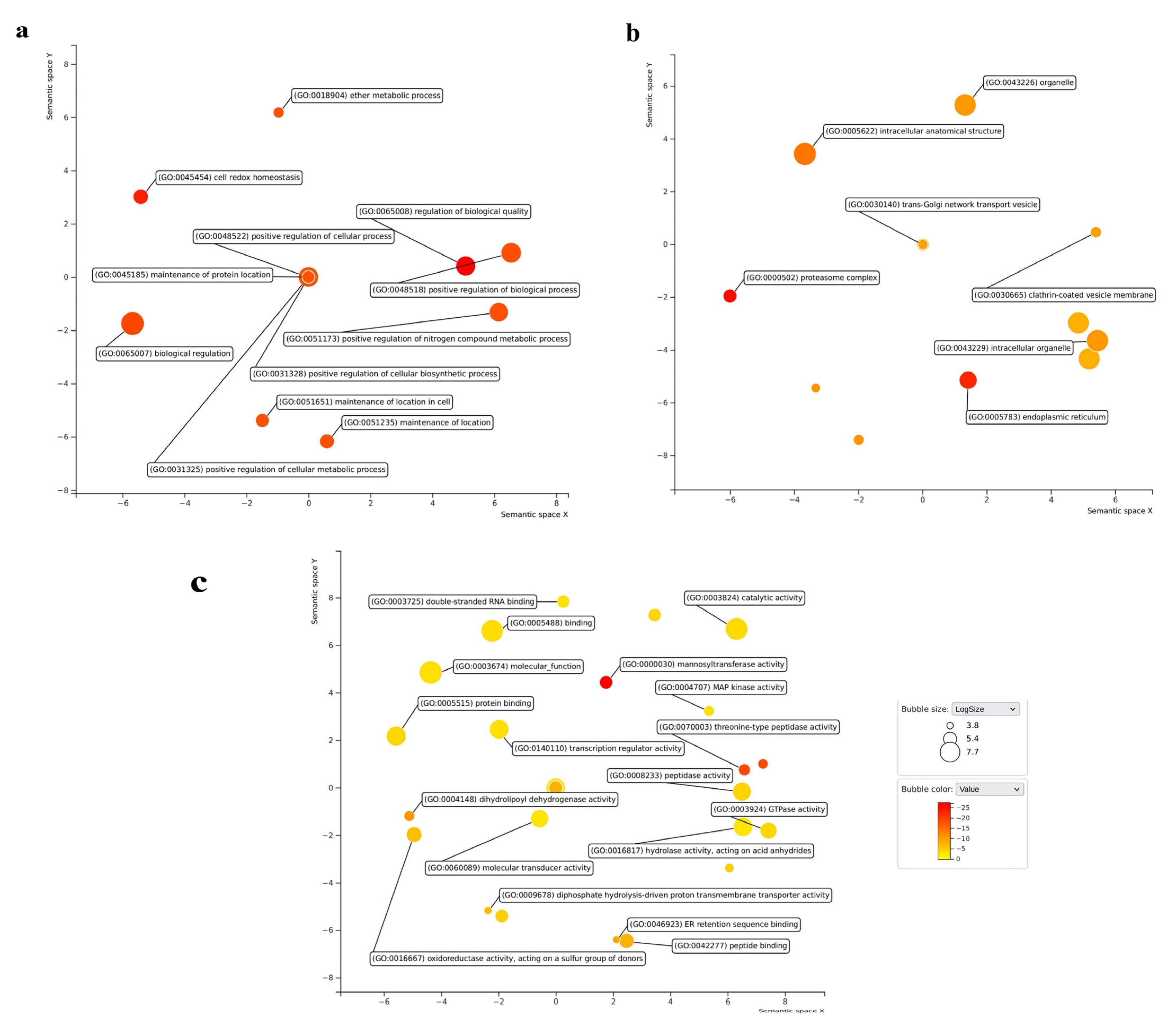 Plants 13 01707 g006