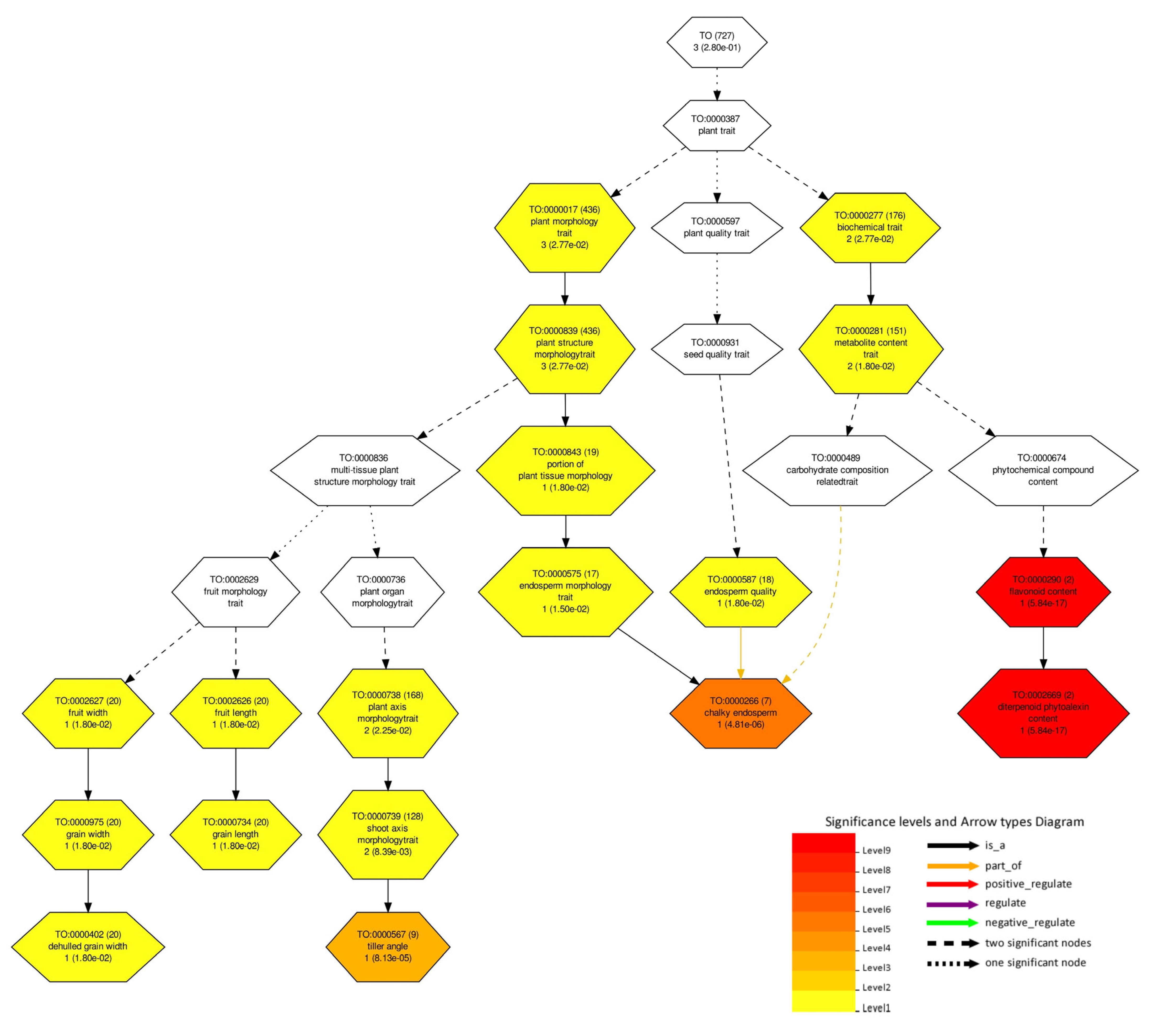 Plants 13 01707 g007