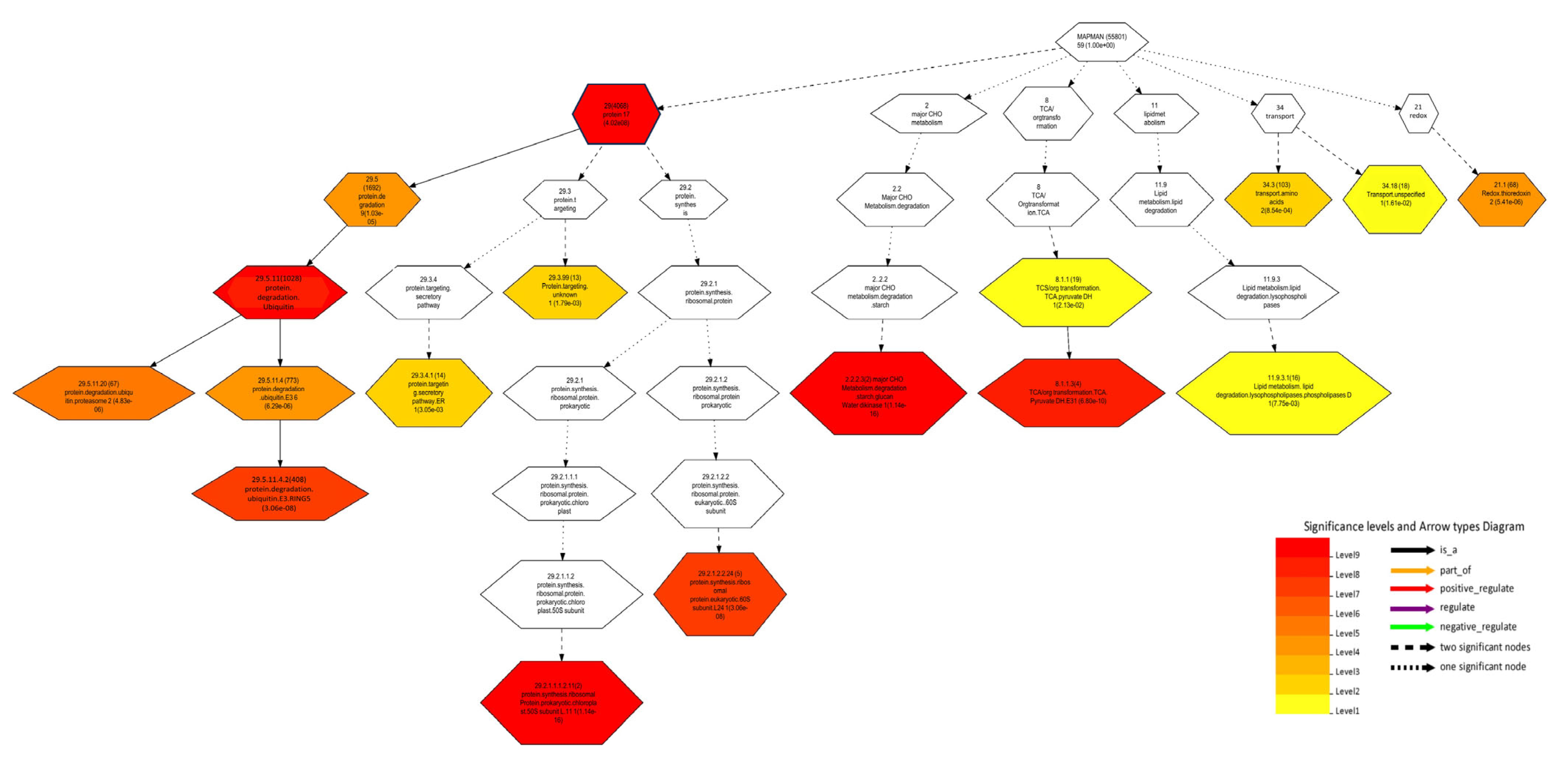 Plants 13 01707 g008