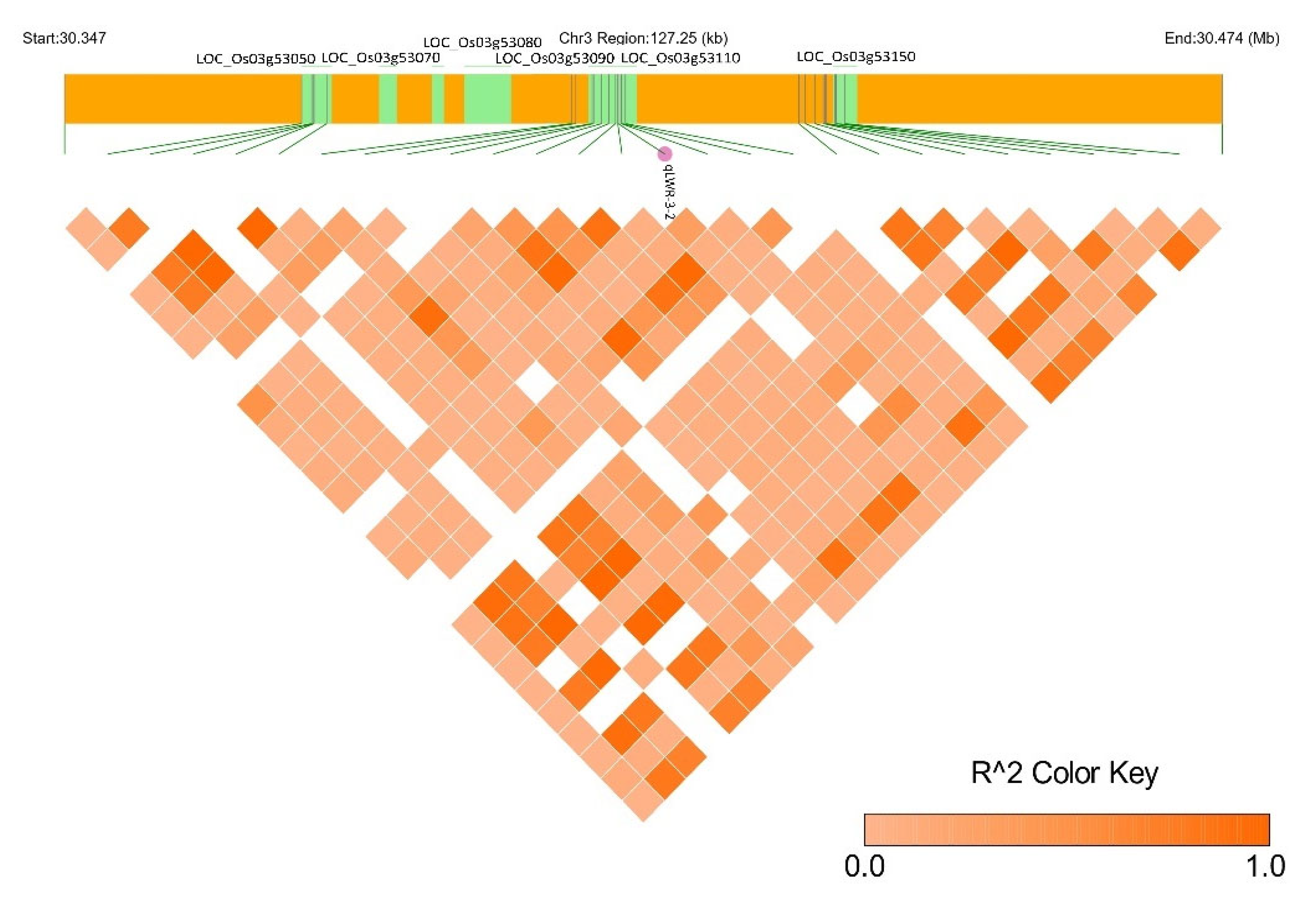Plants 13 01707 g010