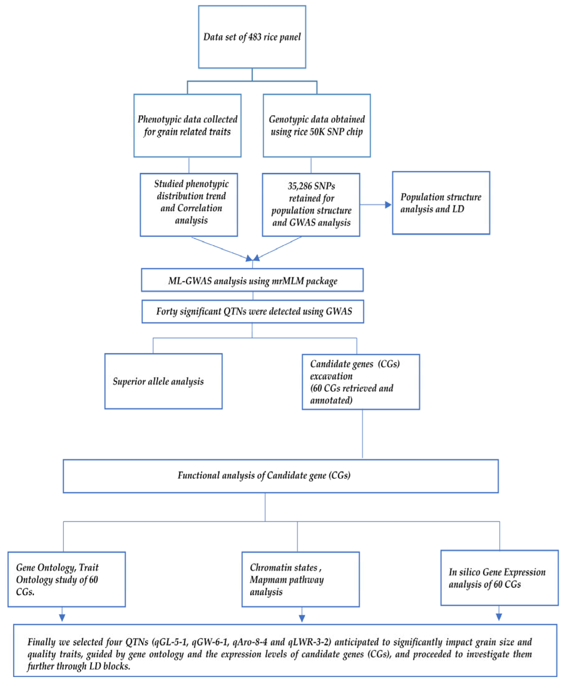 Plants 13 01707 g011