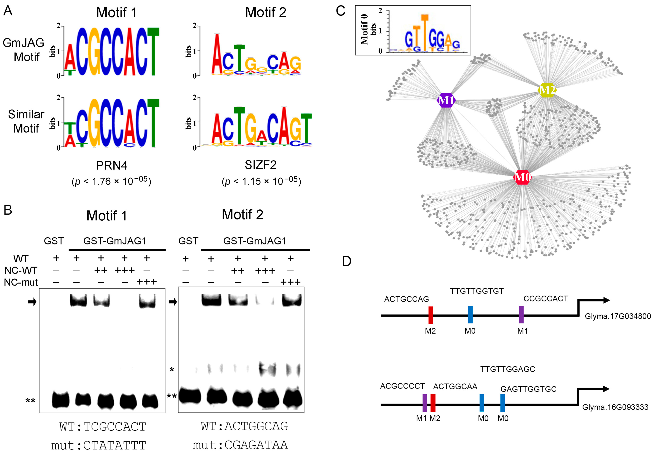 Plants 13 01708 g002