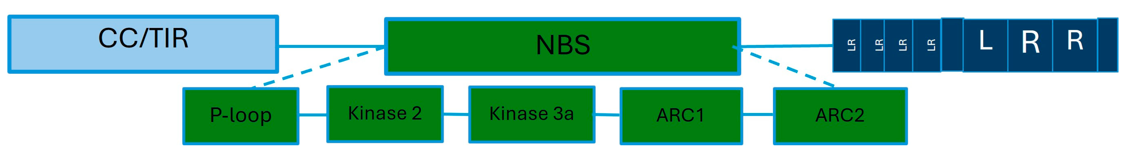 Plants 13 01711 g003