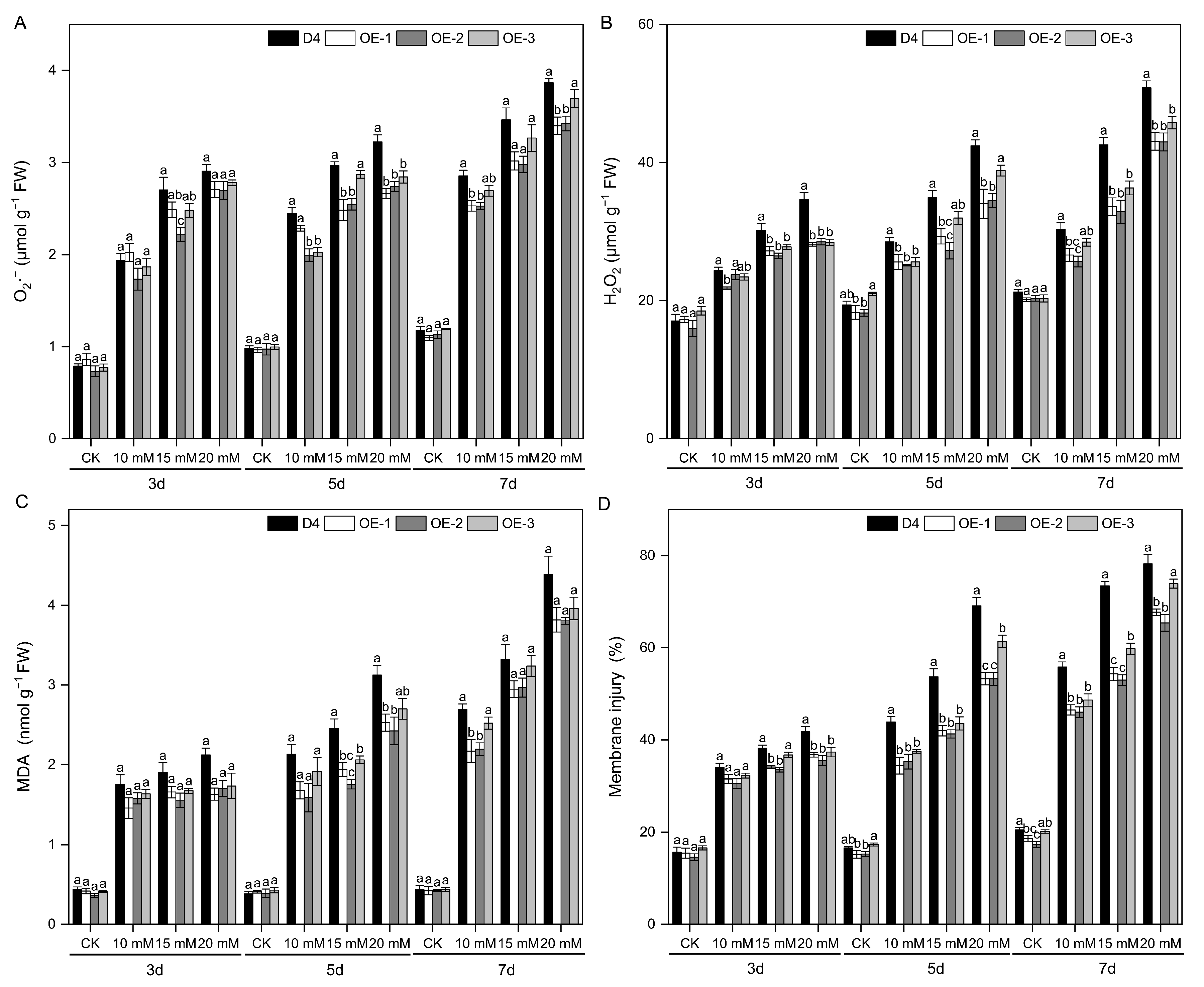 Plants 13 01713 g006