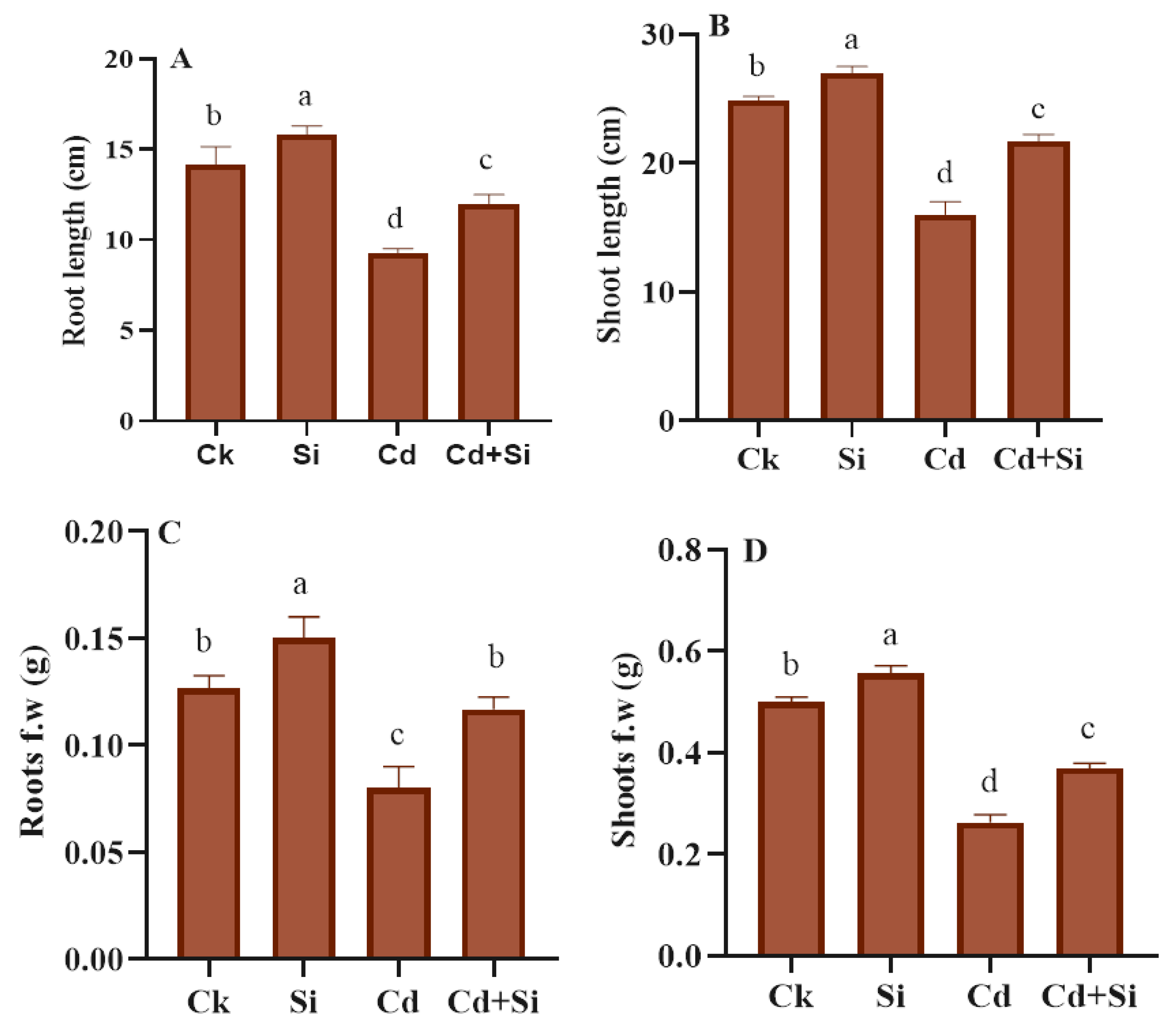 Plants 13 01715 g002