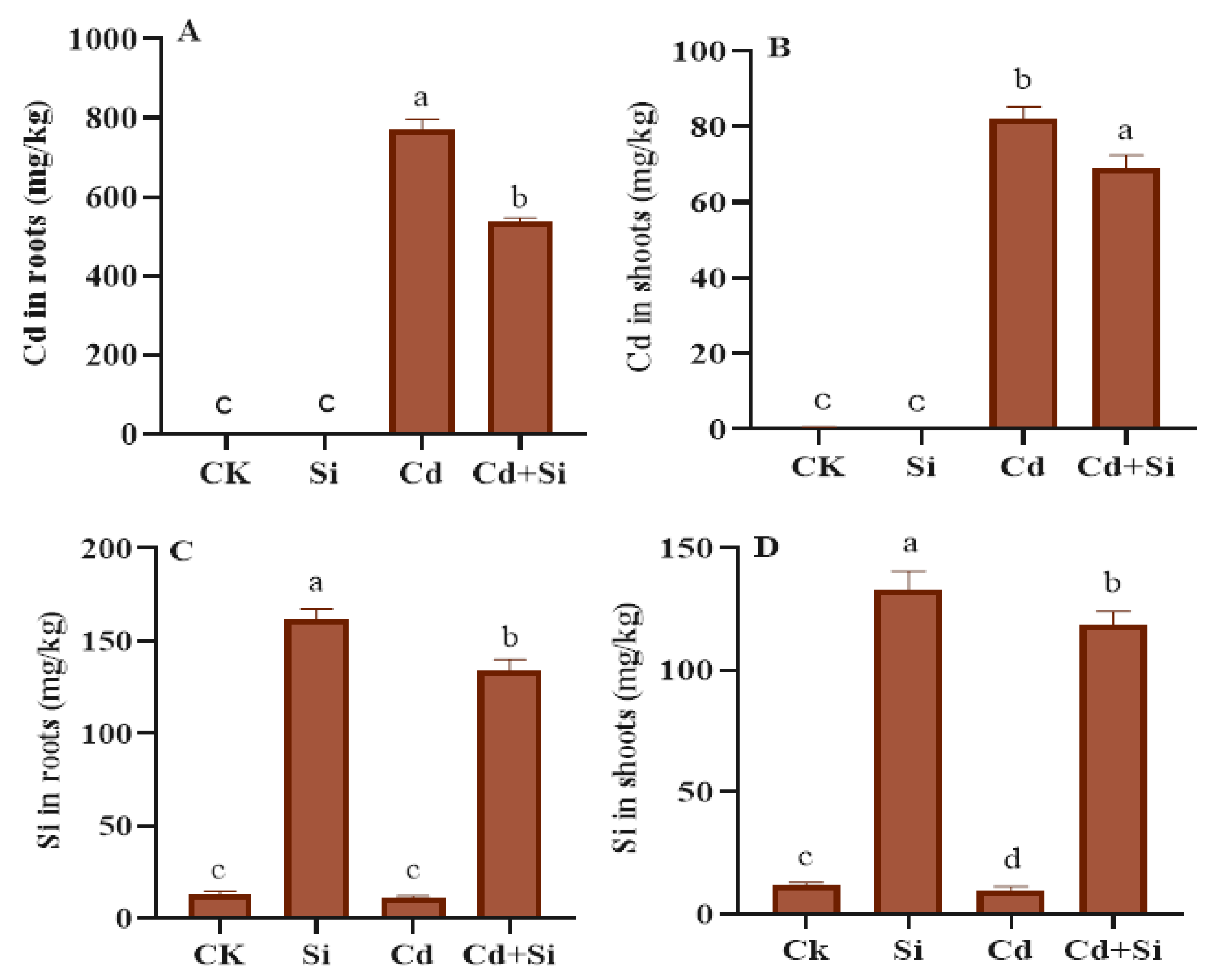 Plants 13 01715 g006