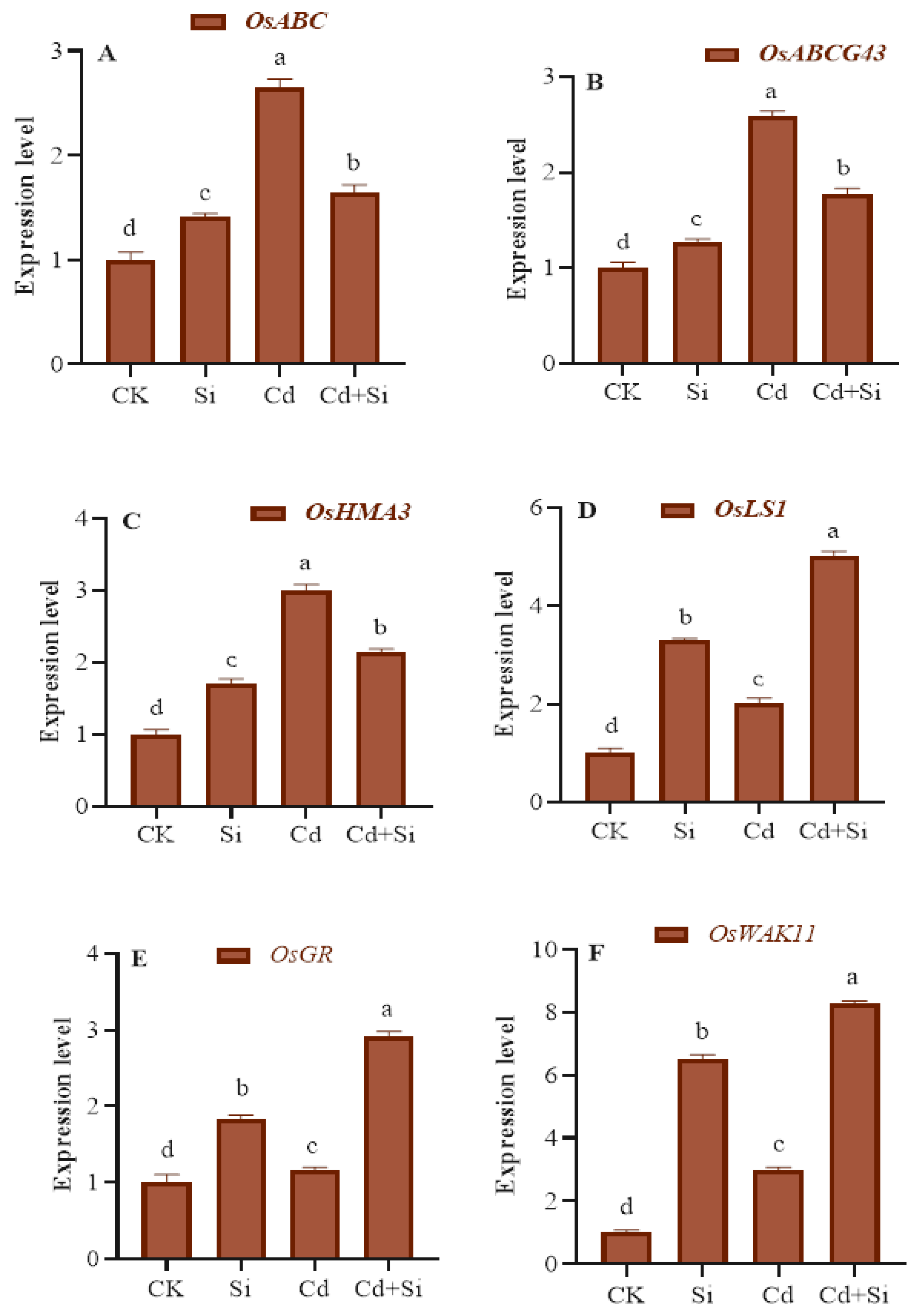 Plants 13 01715 g007