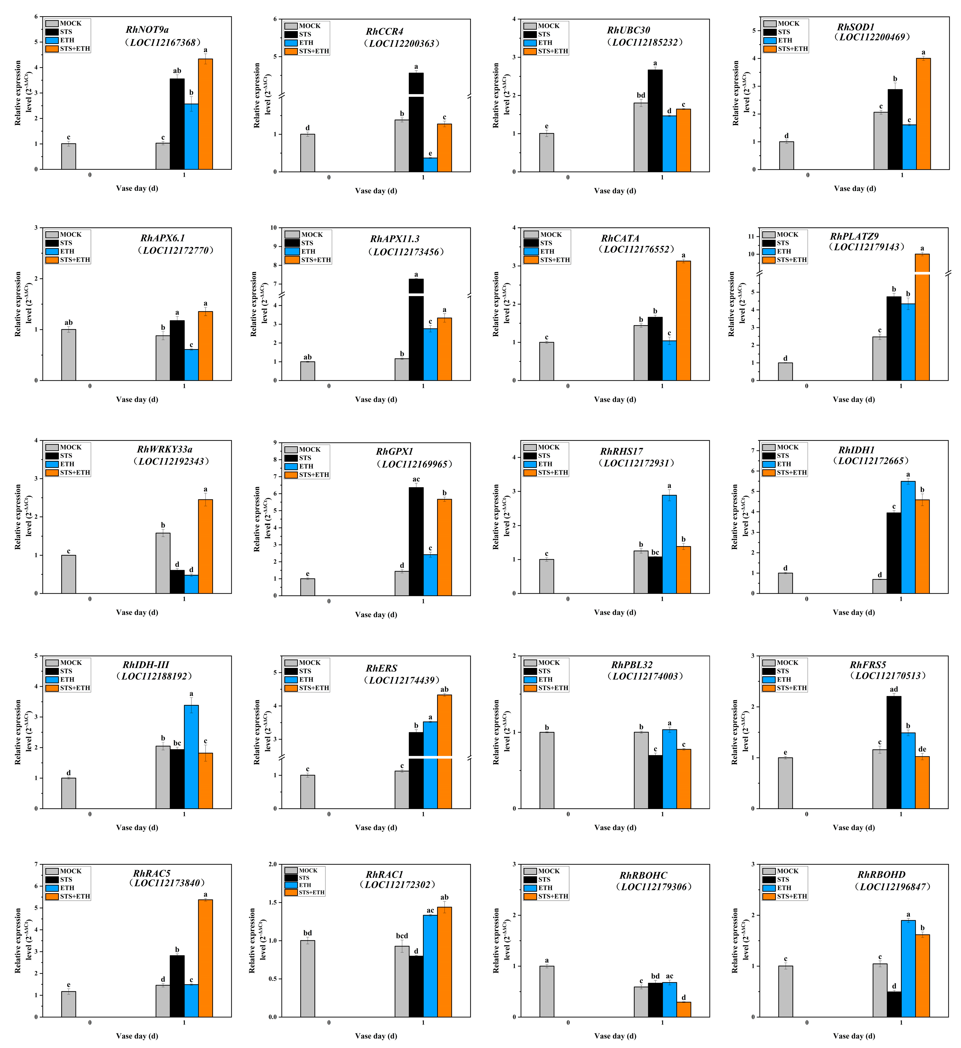 Plants 13 01718 g004