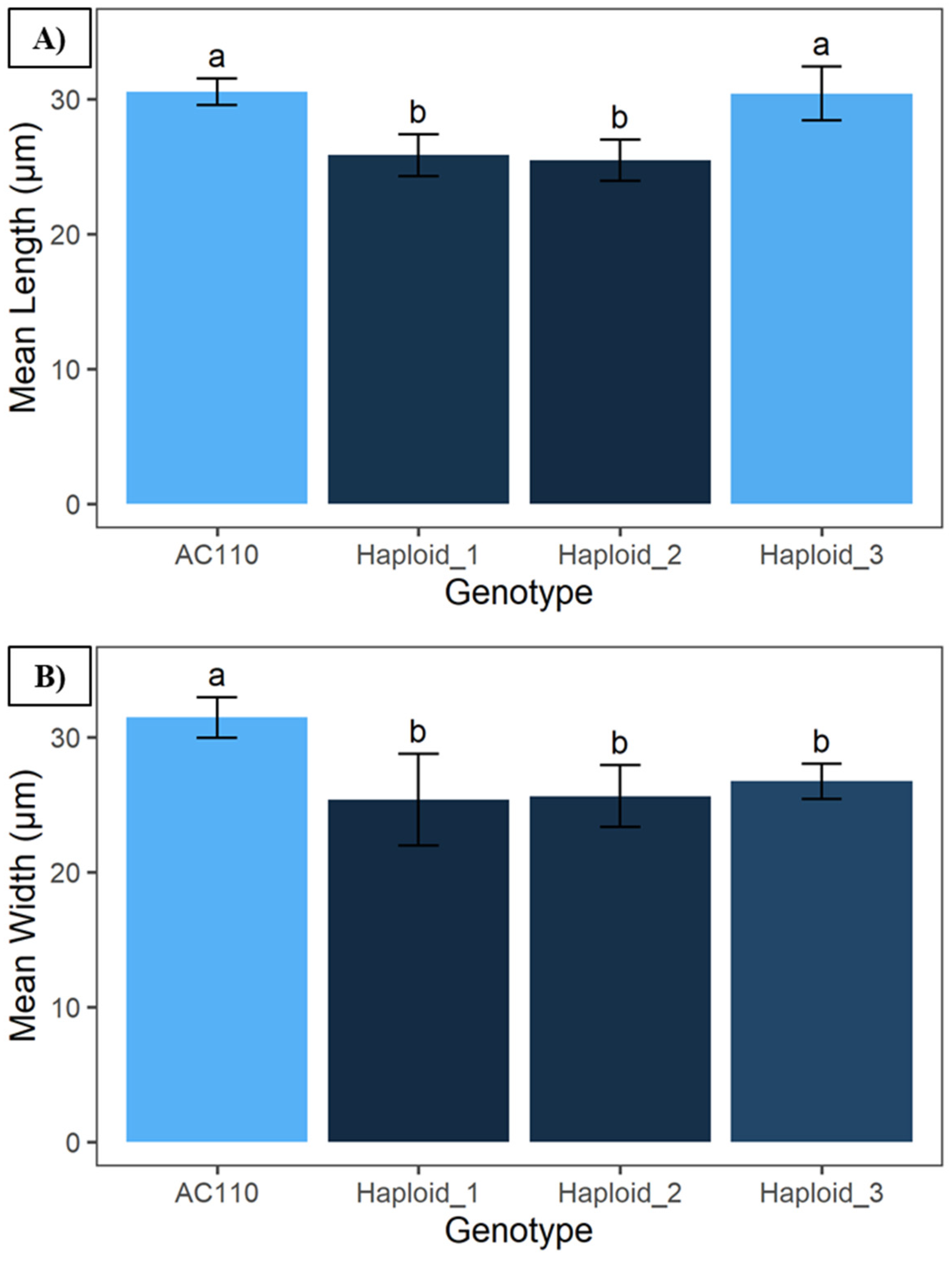 Plants 13 01733 g002