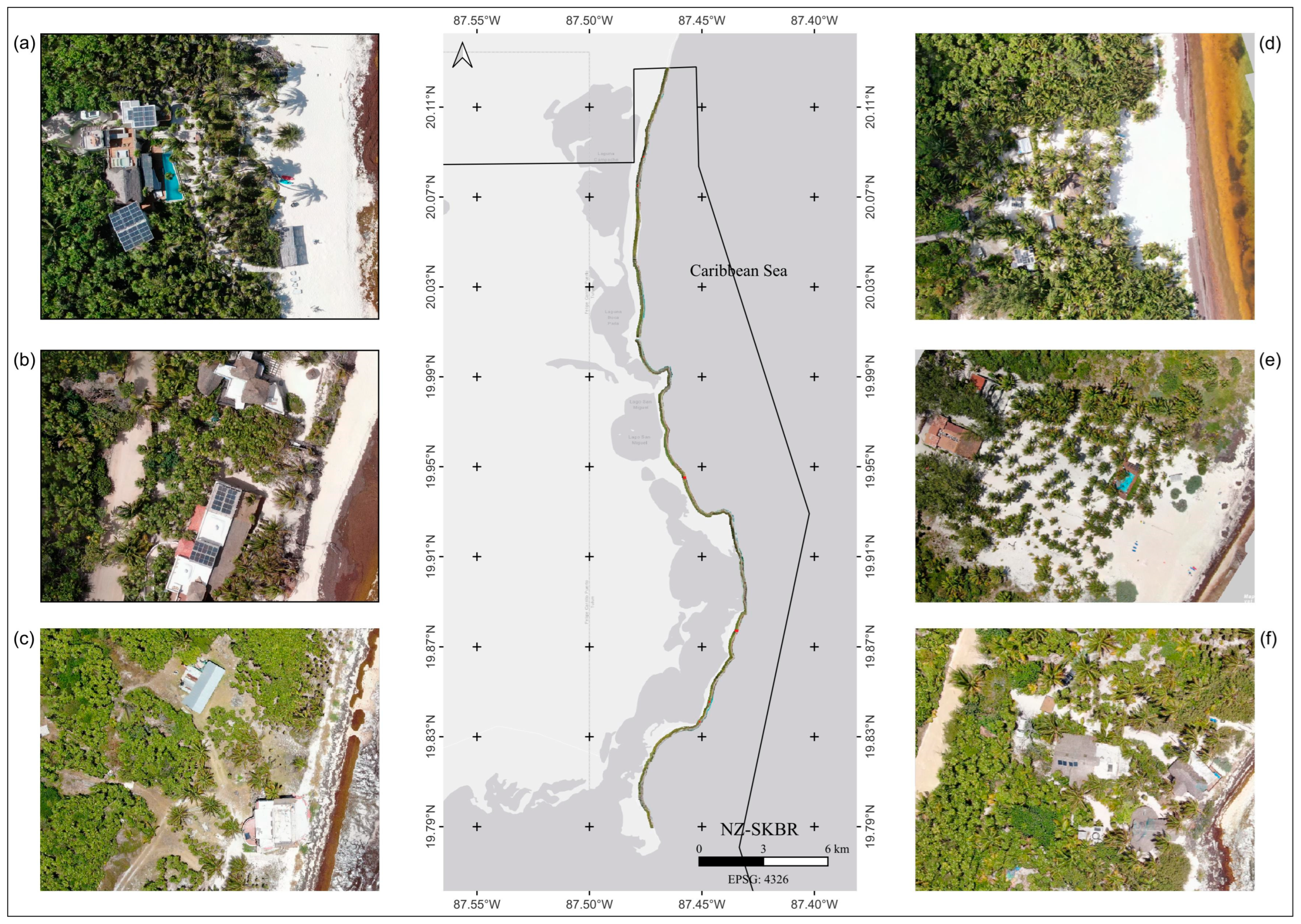 Plants 13 01734 g007 Plants 13 01734 g007