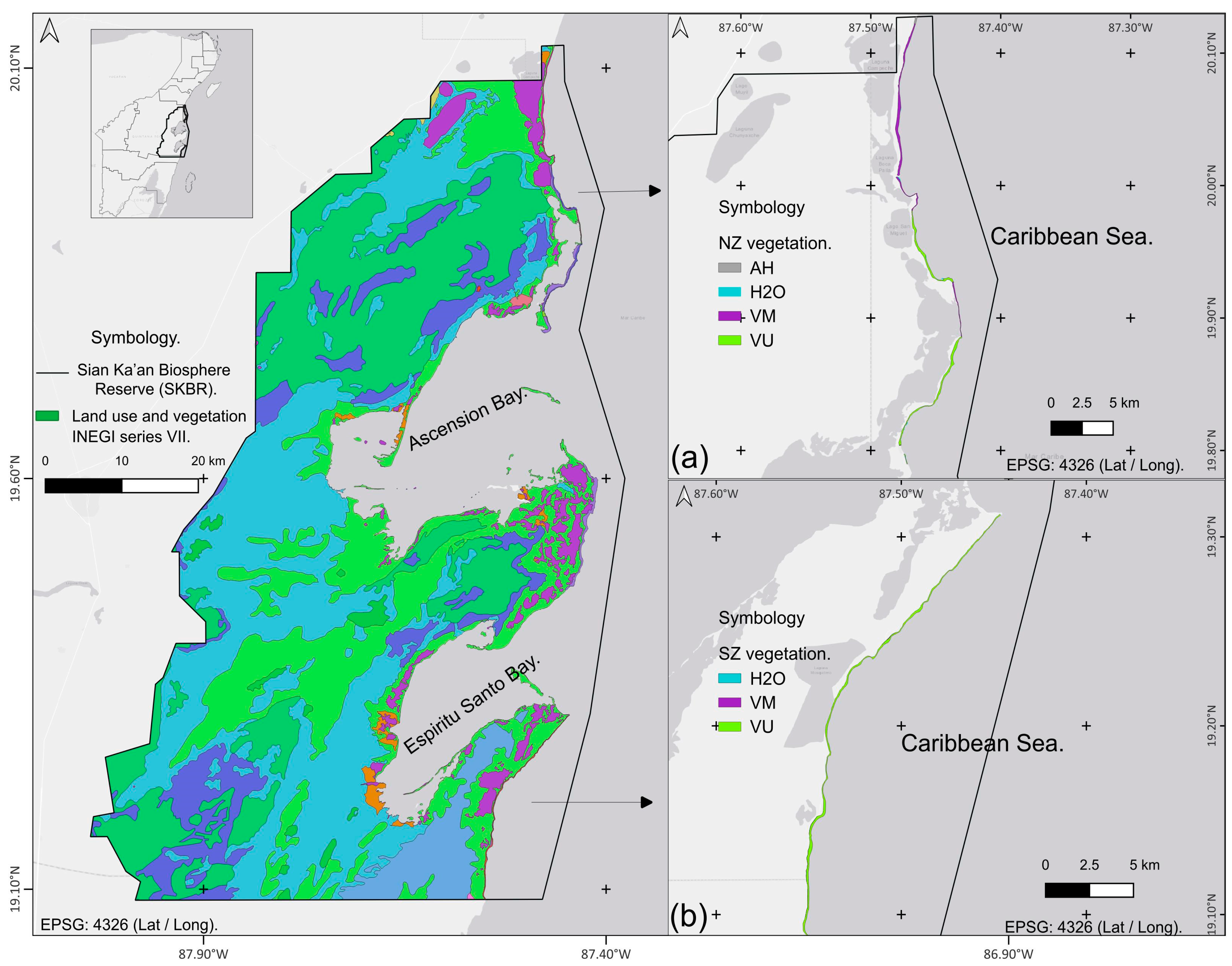 Plants 13 01734 g009 Plants 13 01734 g009
