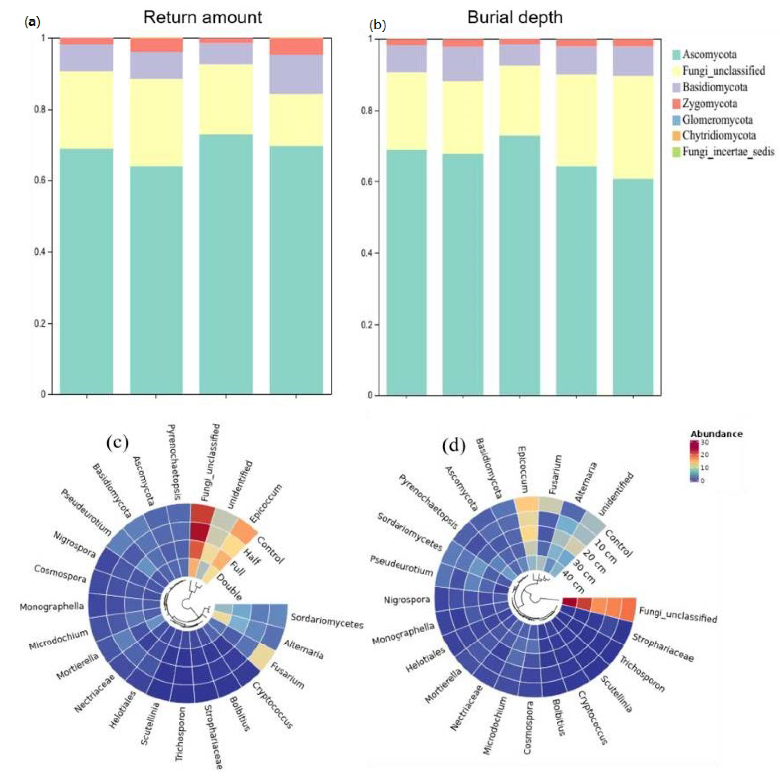 Plants 13 01738 g002