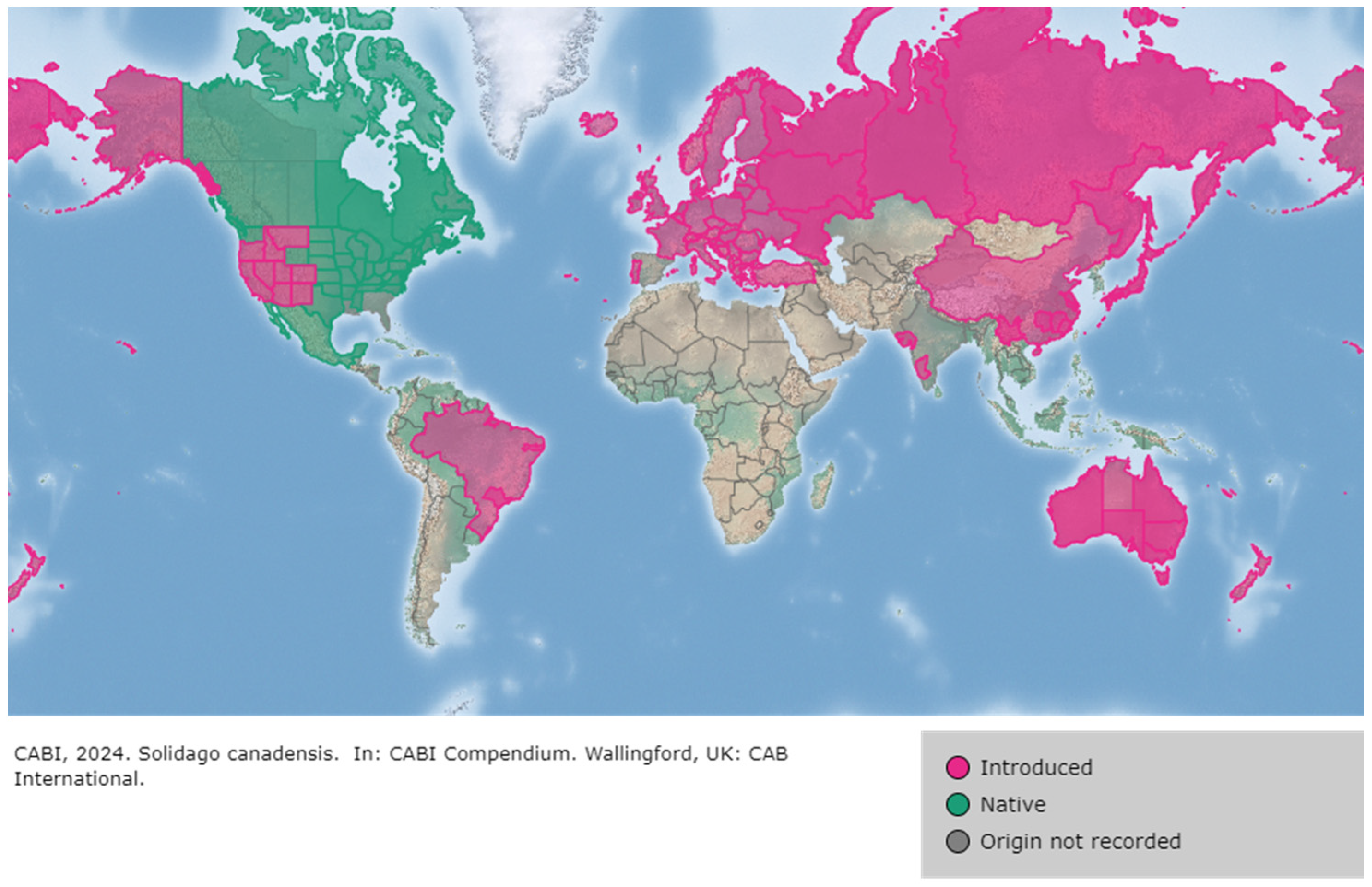 Plants 13 01745 g002