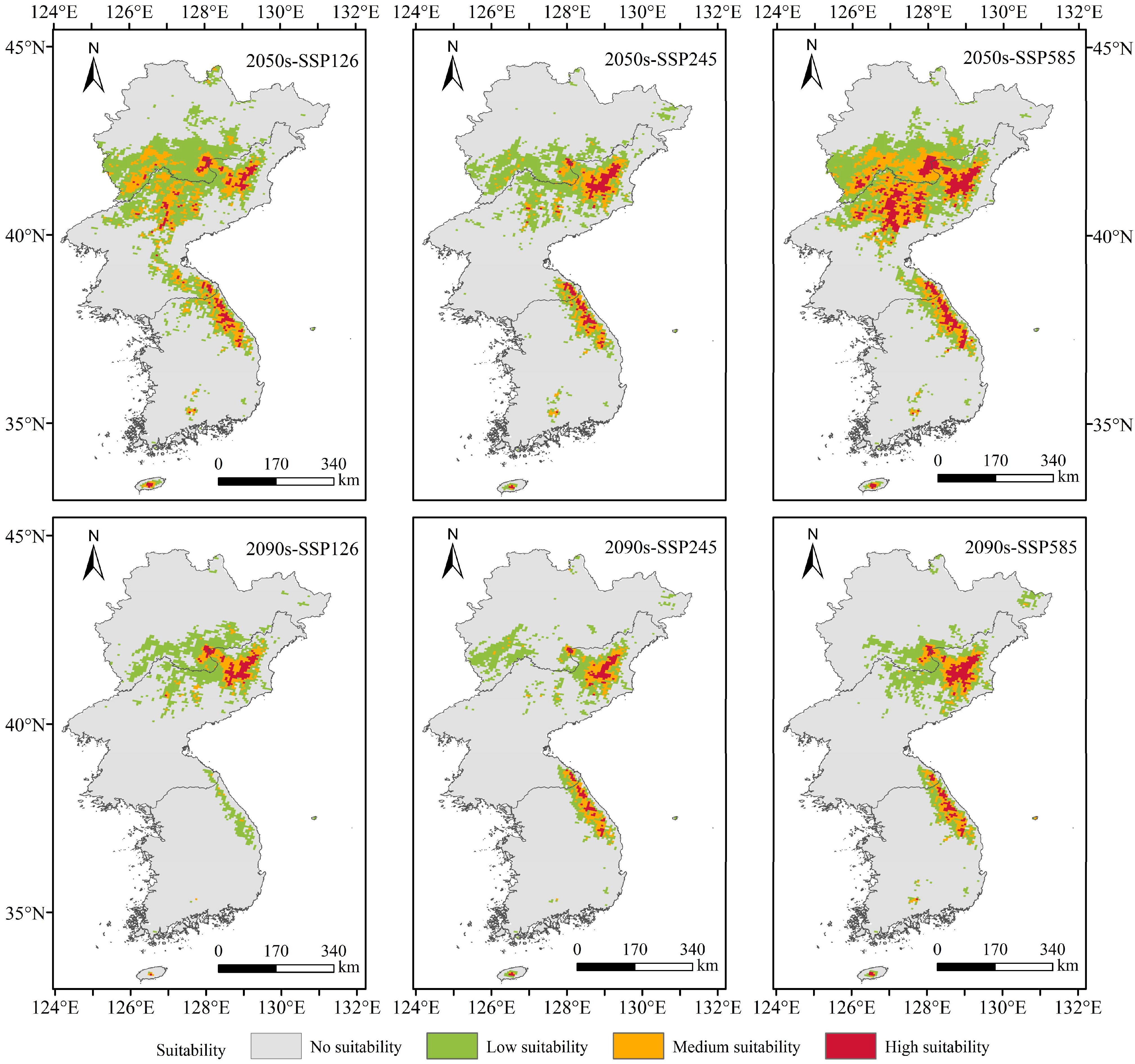 Plants 13 01750 g007 Plants 13 01750 g007