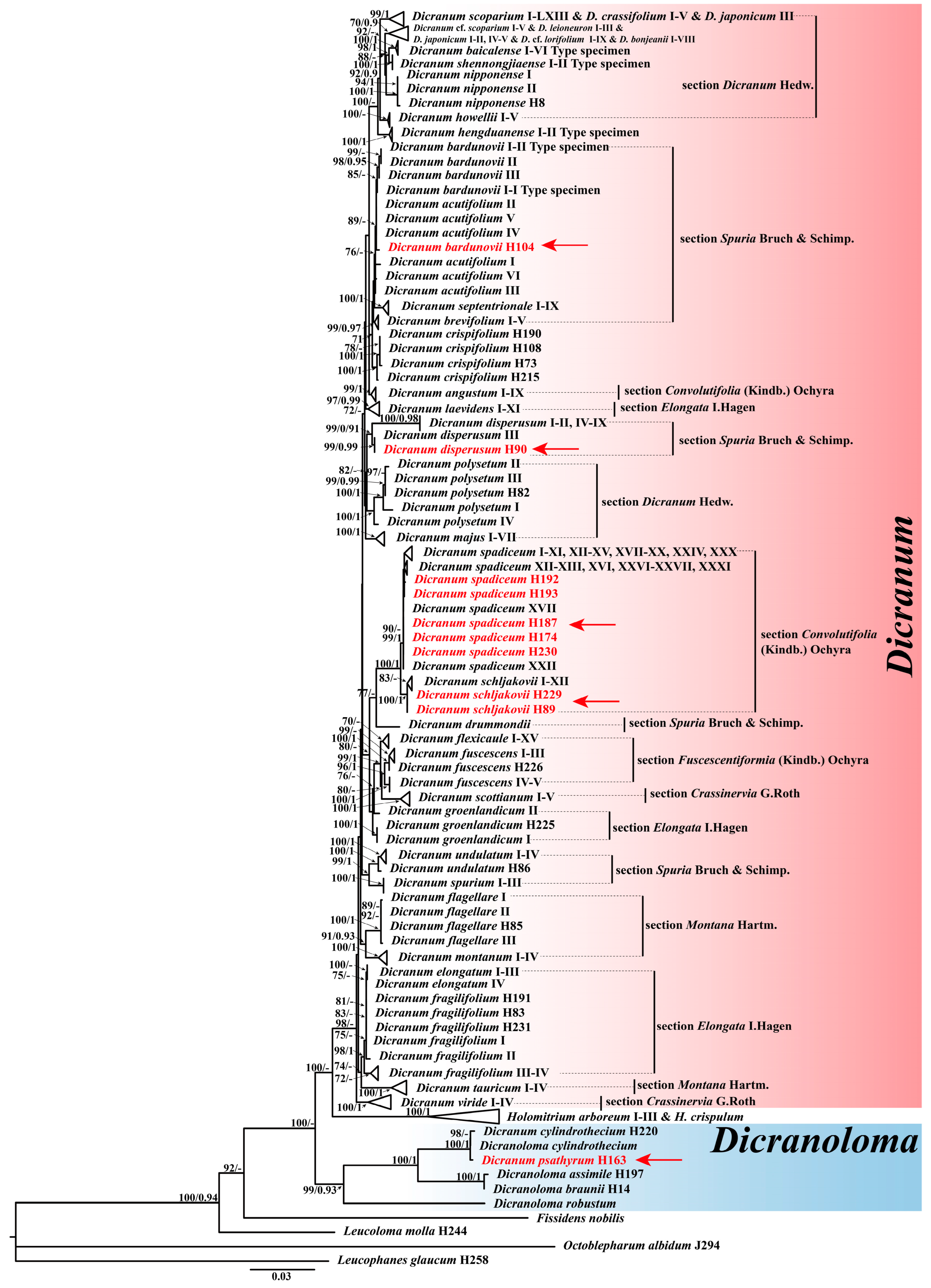 Plants 13 01759 g001 Plants 13 01759 g001