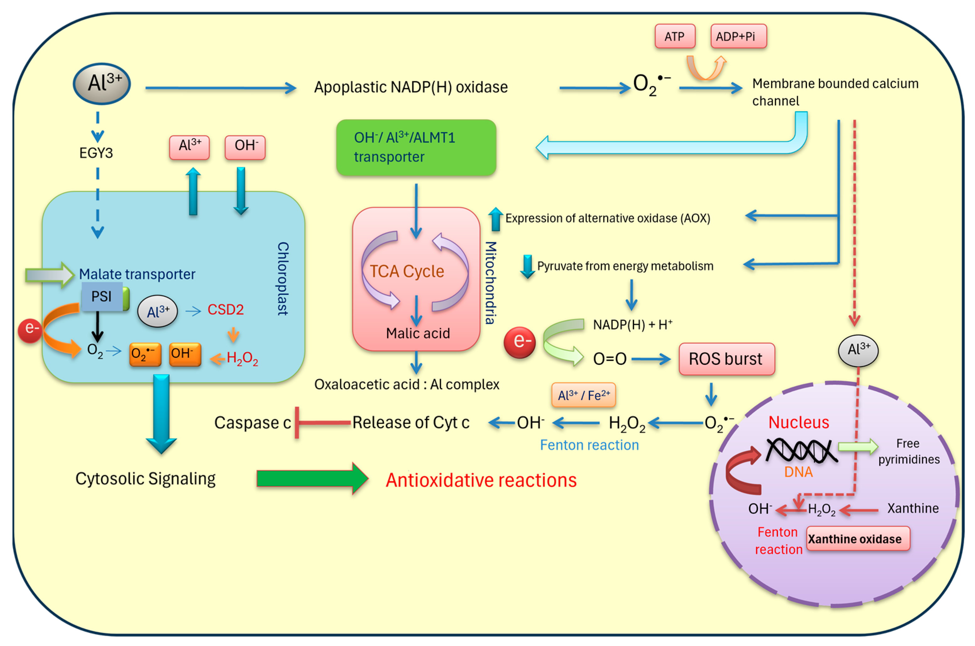 Plants 13 01760 g002