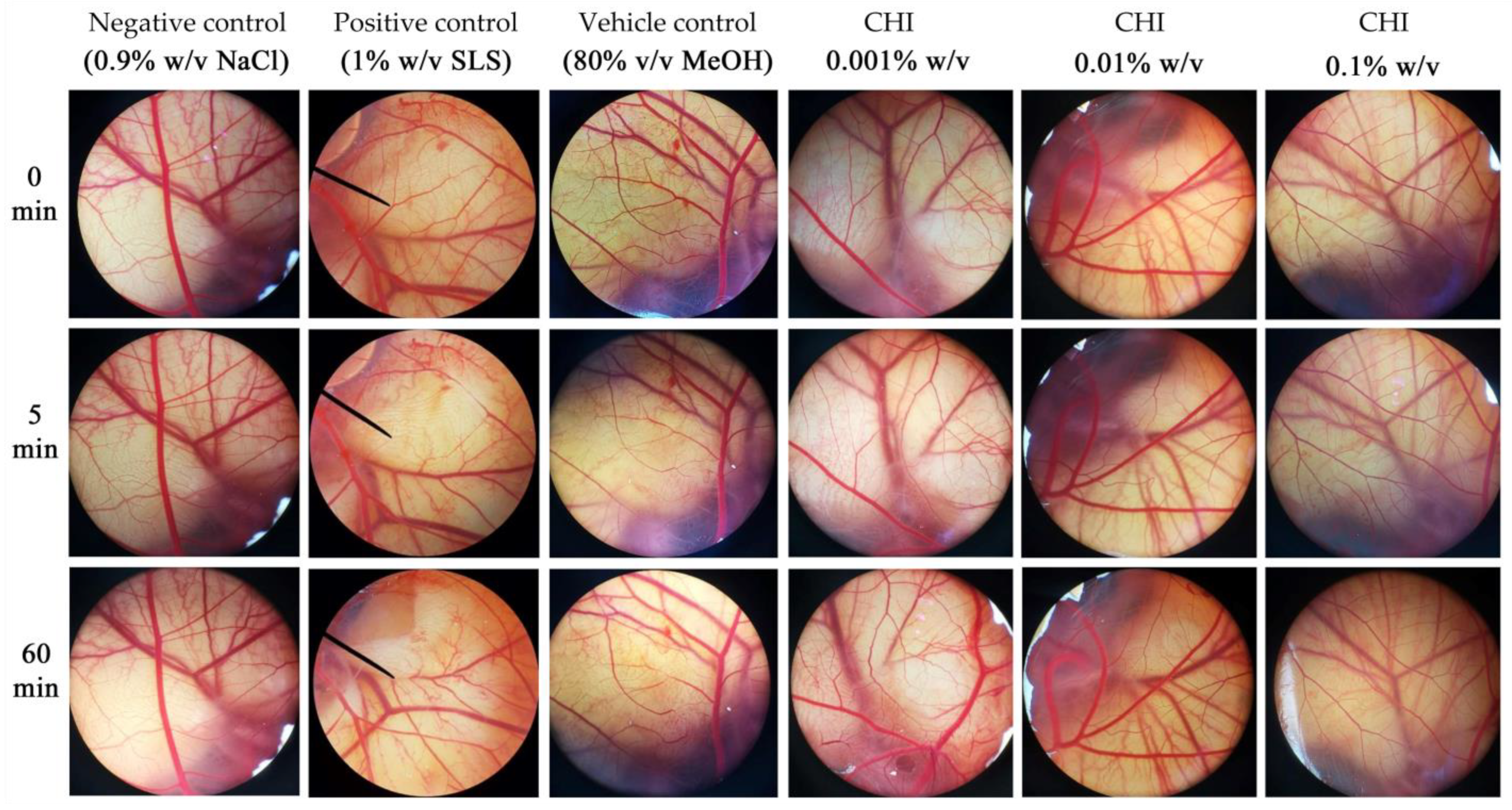 Plants 13 01770 g007