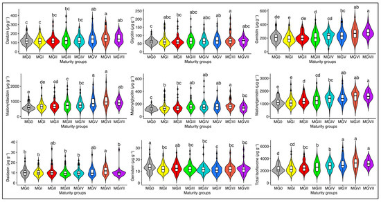 再入荷アイテム Color, Coat Seed Origin, of Effect and on Group Maturity その他