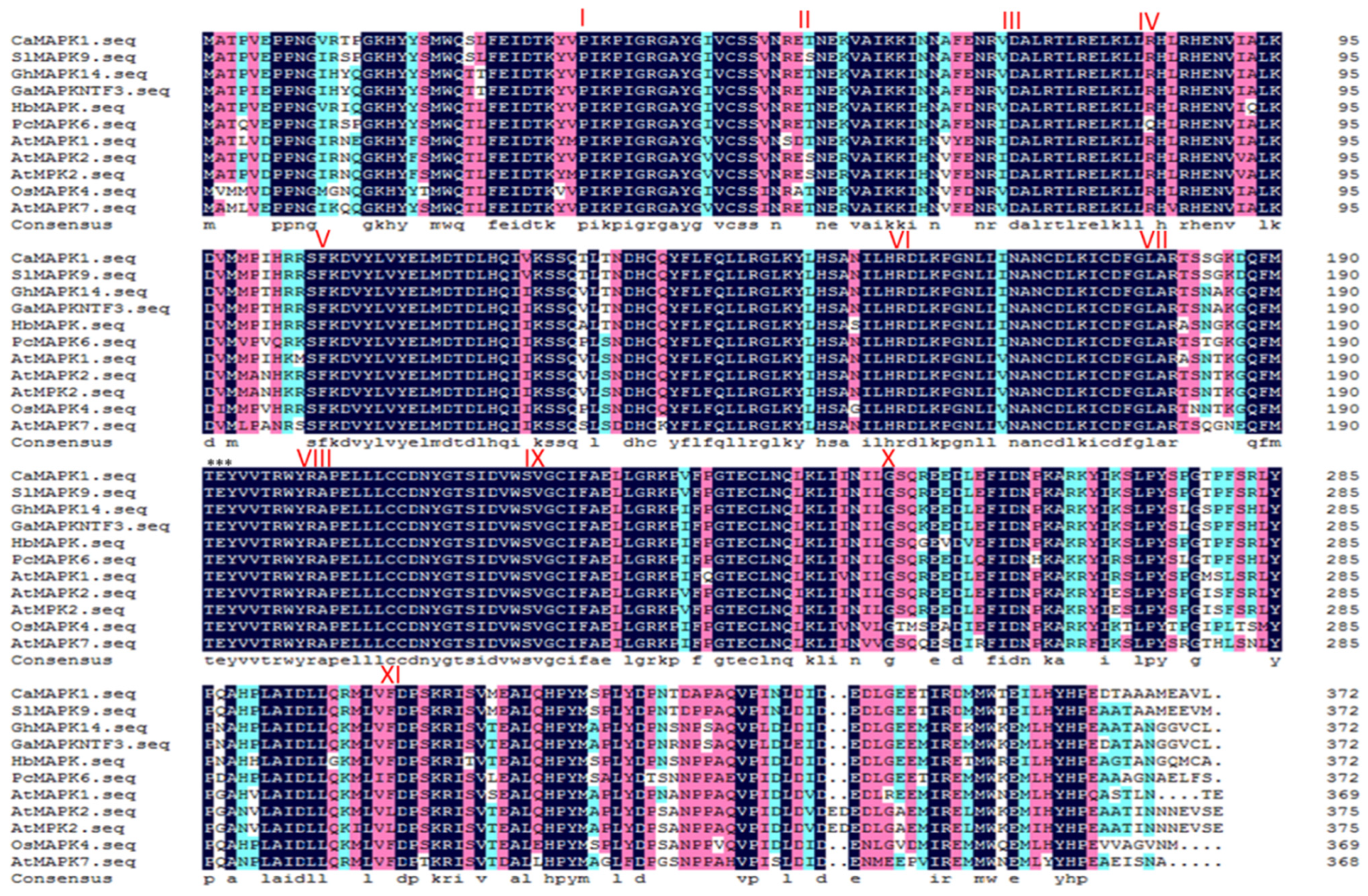 Plants 13 01775 g001