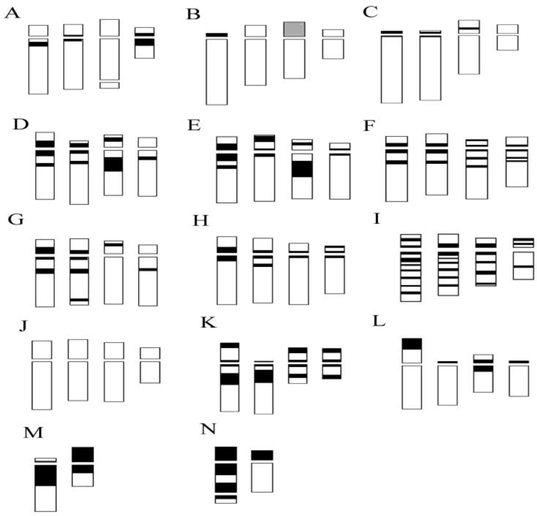 Plants 13 01776 g004