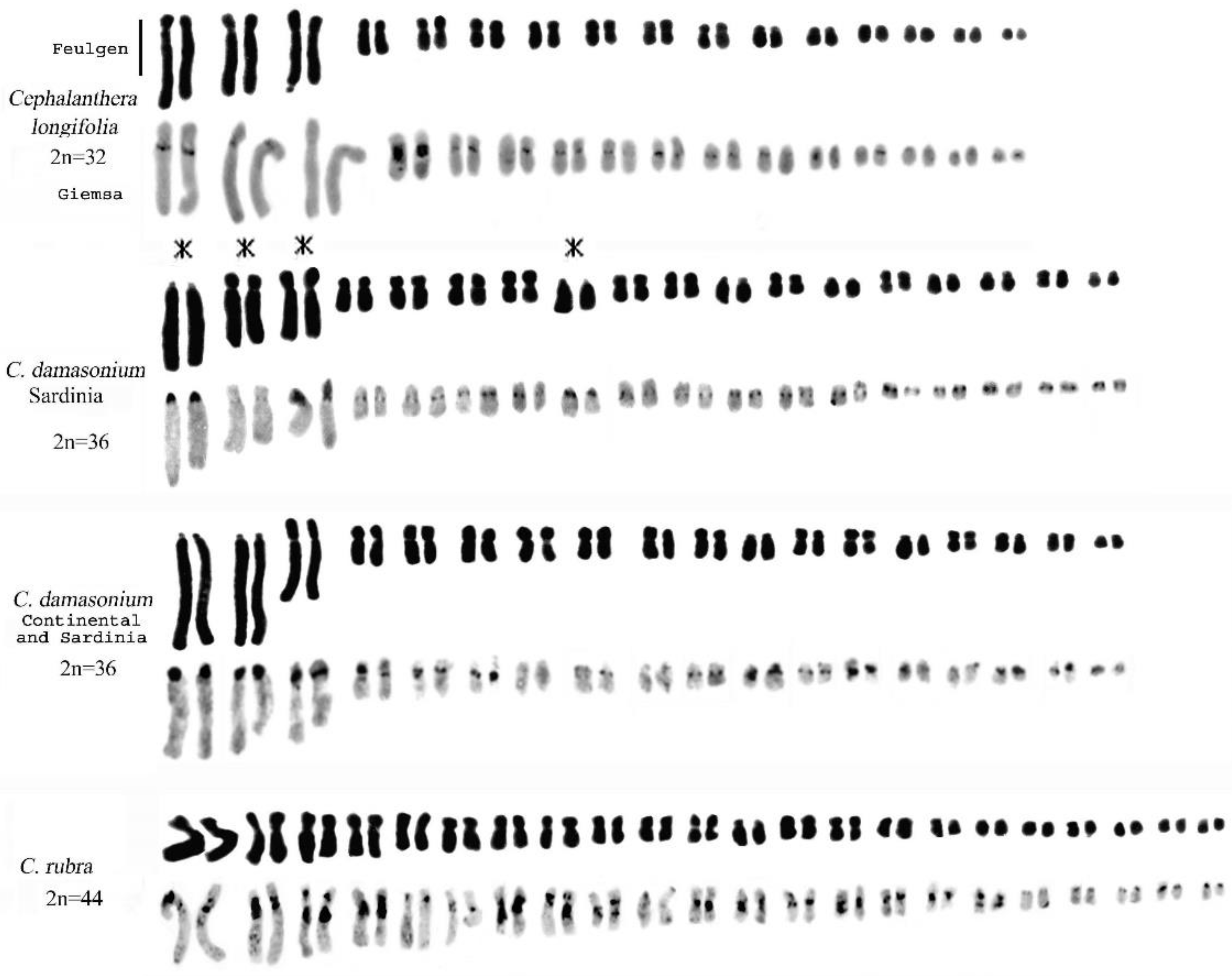 Plants 13 01776 g005